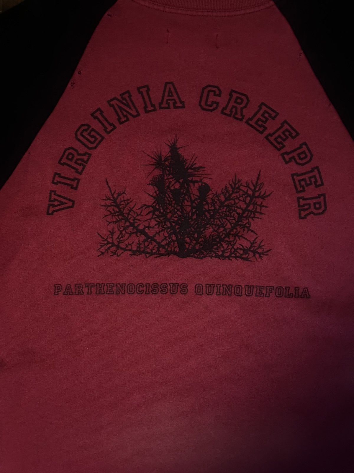 Raf Simons Raf Simons Virginia Creeper Redux Size US XS / EU 42 / 0 - 4 Thumbnail
