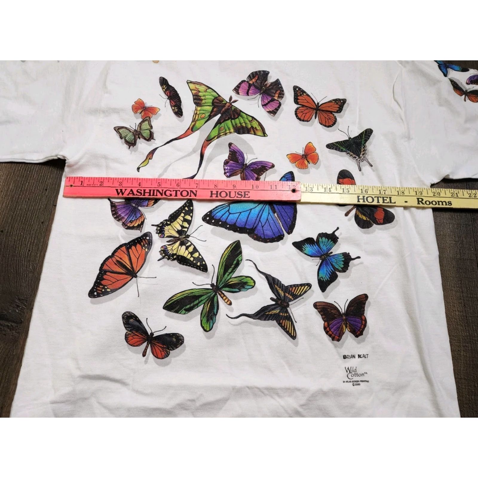 Anvil Vintage Anvil Mens M T-Shirt Florida Butterfly Art 2000s White Crew Neck Size US M / EU 48-50 / 2 - 8 Thumbnail