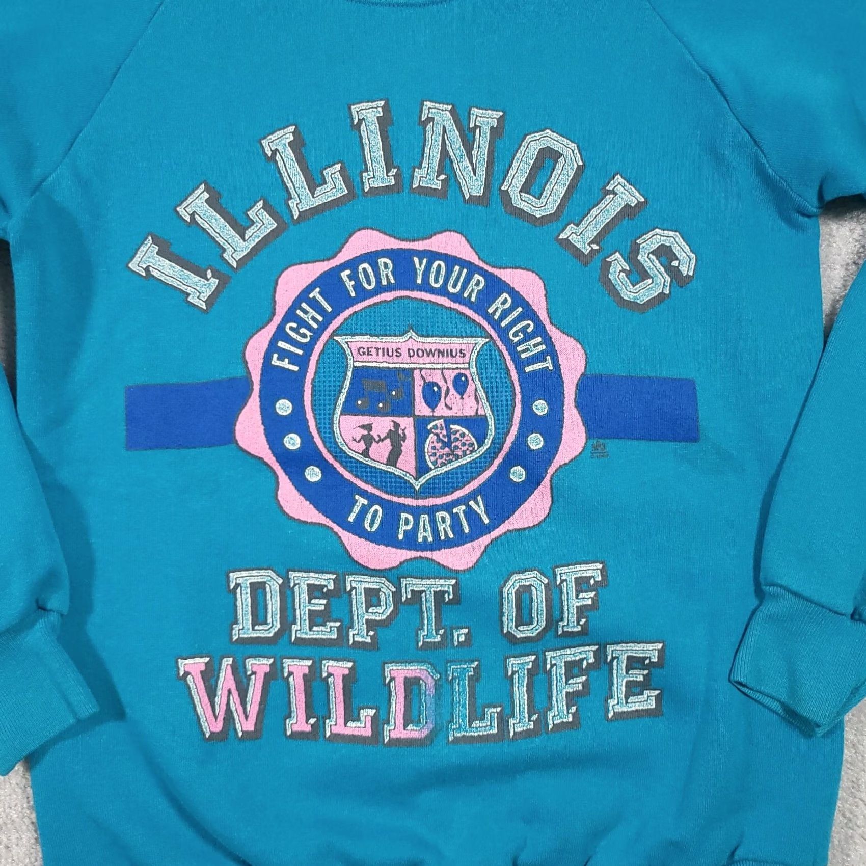 Jerzees VINTAGE Jerzees Sweatshirt Mens M IL Dept. Of Wildlife Nature Crewneck USA Shirt Size US M / EU 48-50 / 2 - 4 Thumbnail