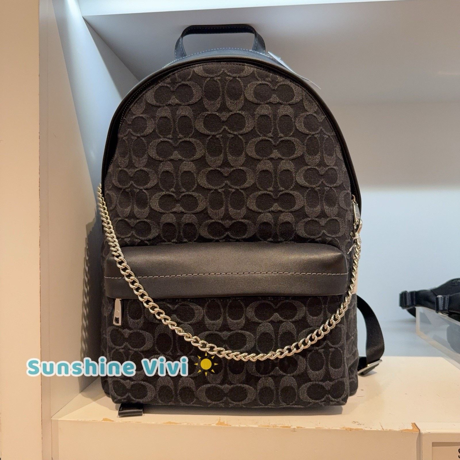 Coach NWT Bundle Coach Taylor Backpack CDC49 & CR466 Chain Strap Size ONE SIZE - 1 Thumbnail