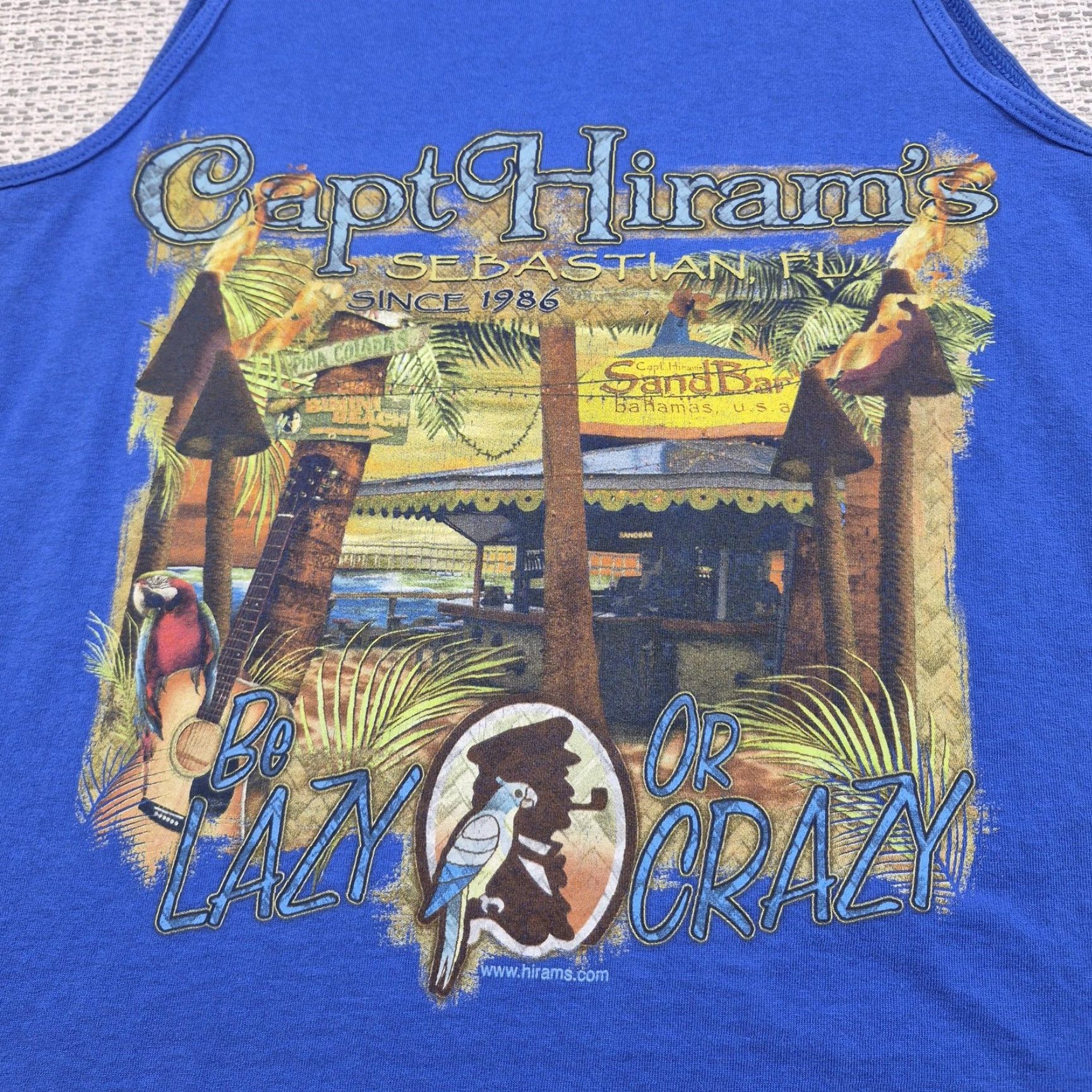Gildan Gildan Tank Top Mens M Blue Be Lazy Or Crazy Florida Graphic Tank Top Shirt Adult M Blue Beach Florida Size US M / EU 48-50 / 2 - 2 Thumbnail