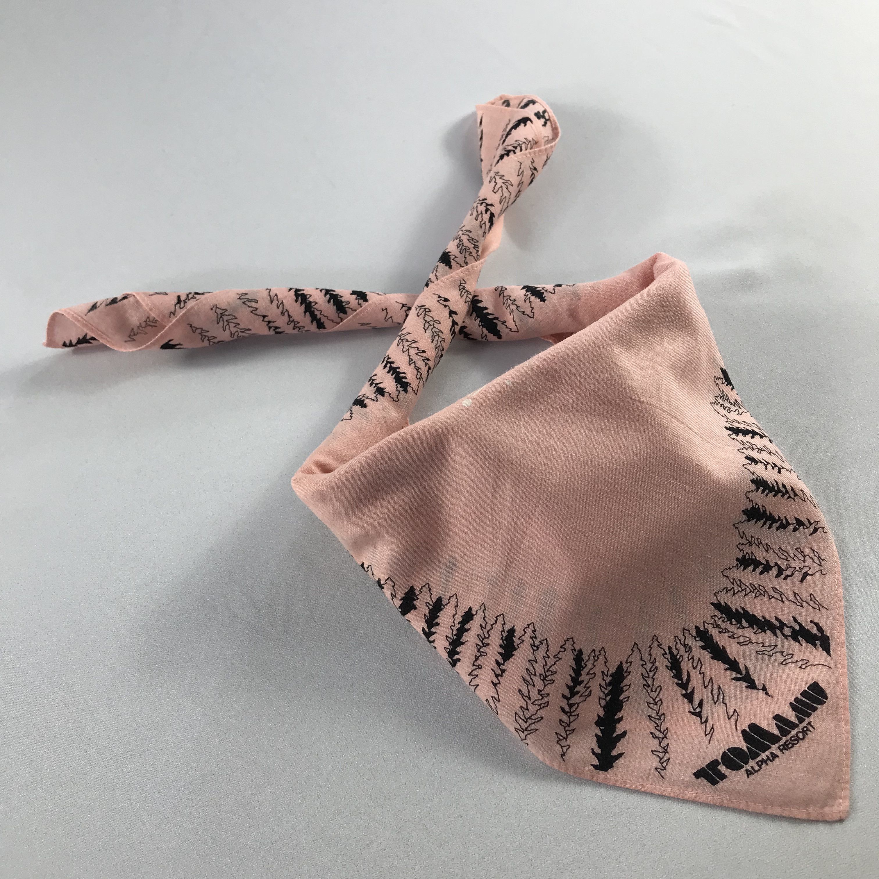 Japanese Brand Japanese Tomamu Handkerchief / Bandana / Neckerchief C656 Size ONE SIZE - 2 Thumbnail