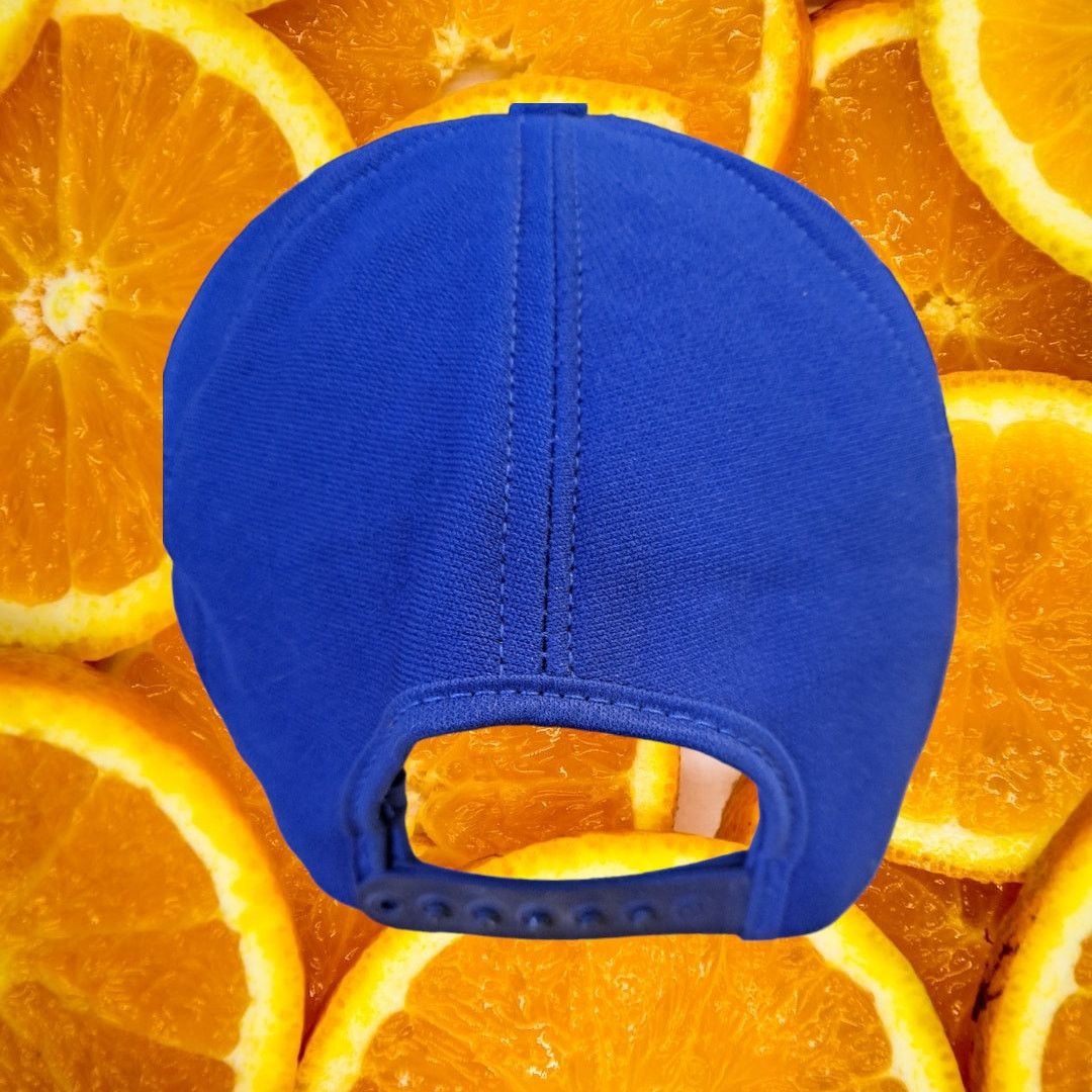 Other SKM Basic Life Support EMS 72 Cumberland County Baseball Hat Size ONE SIZE - 3 Thumbnail