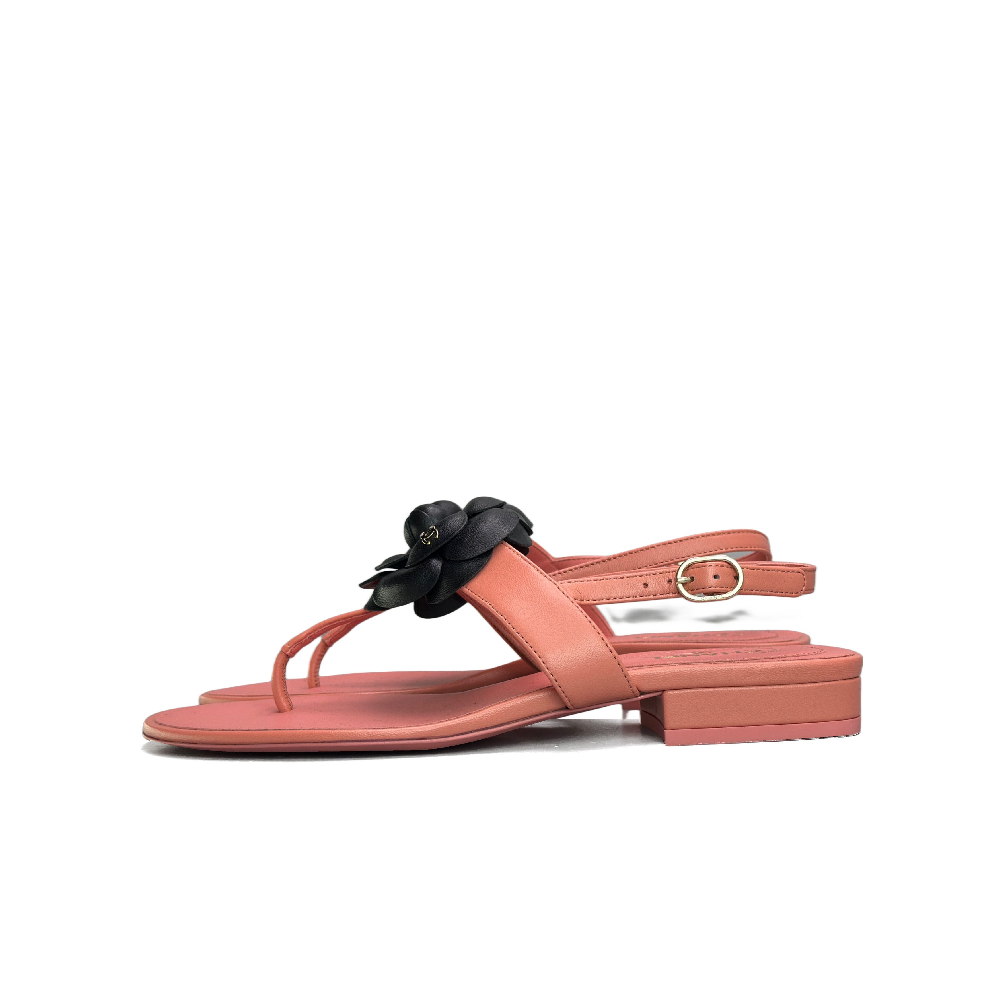 Chanel CHANEL Camellia Leather Thong Sandals Size 36.5 Size US 6.5 / IT 36.5 - 1 Thumbnail