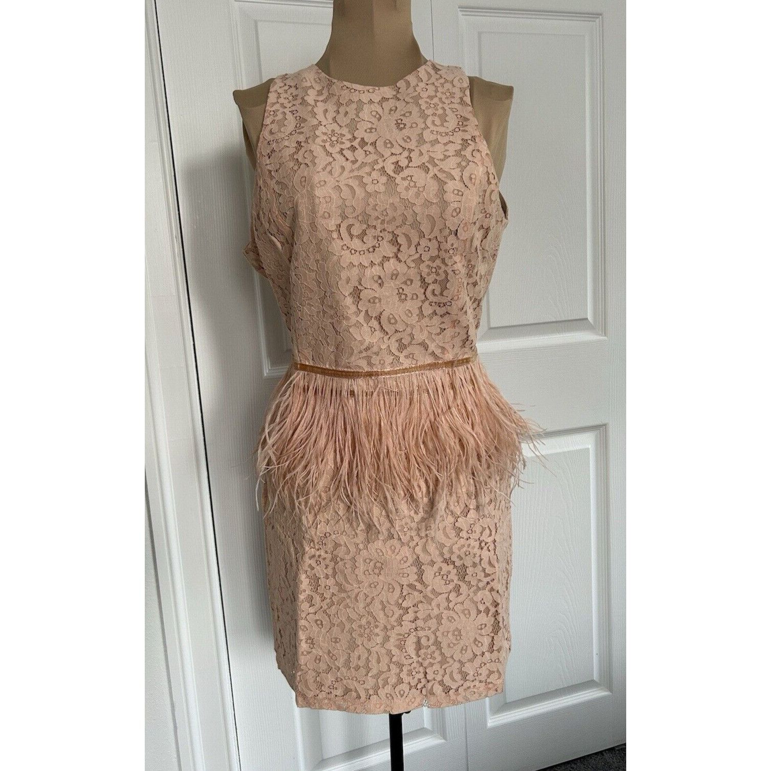 Other ENDLESS ROSE Sleeveless Lace Sheath Open Back Feather Waist Size S / US 4 / IT 40 - 1 Thumbnail