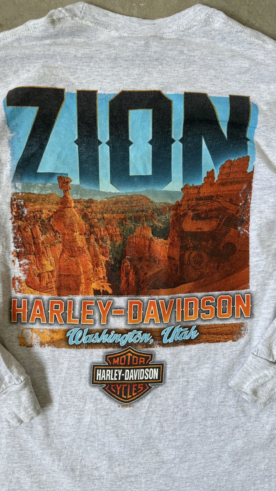 Harley Davidson VINTAGE HARLEY DAVIDSON ZION WASHINGTON UTAH TEE Size US M / EU 48-50 / 2 - 8 Thumbnail