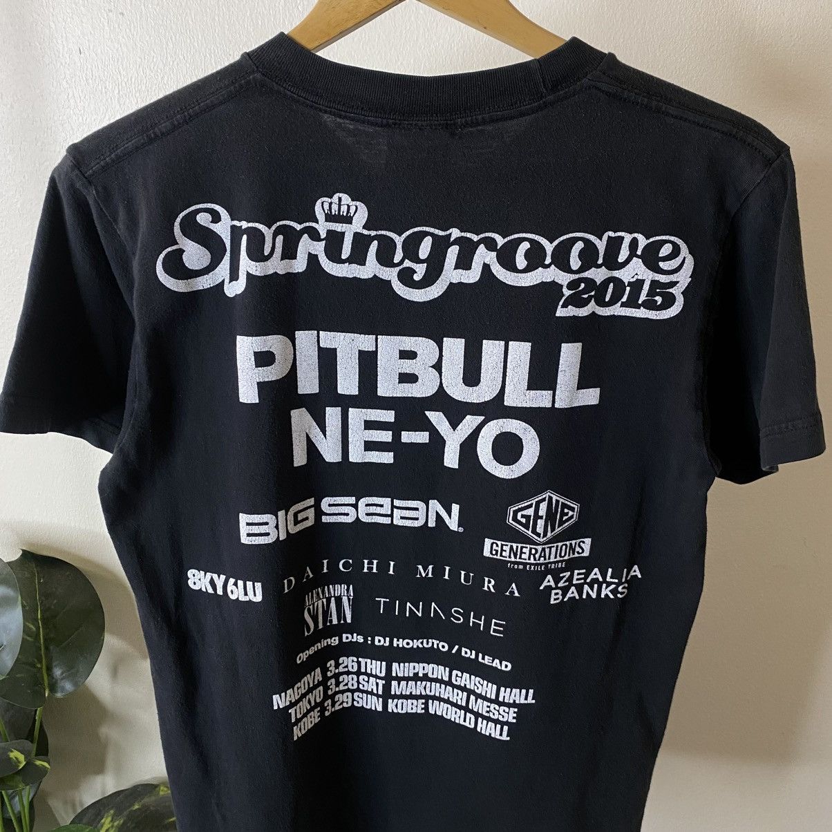 Rap Tees Springroove 2015 Music Festival Pitbull Neyo Big Sean Lineup Size US M / EU 48-50 / 2 - 2 Thumbnail