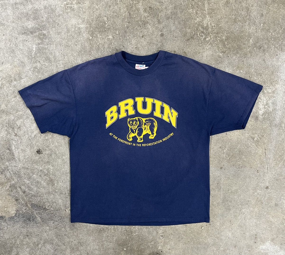 Hanes Vintage 90s Bruin Reforestation Bear Nature T-Shirt Size US XXL / EU 58 / 5 - 1 Thumbnail