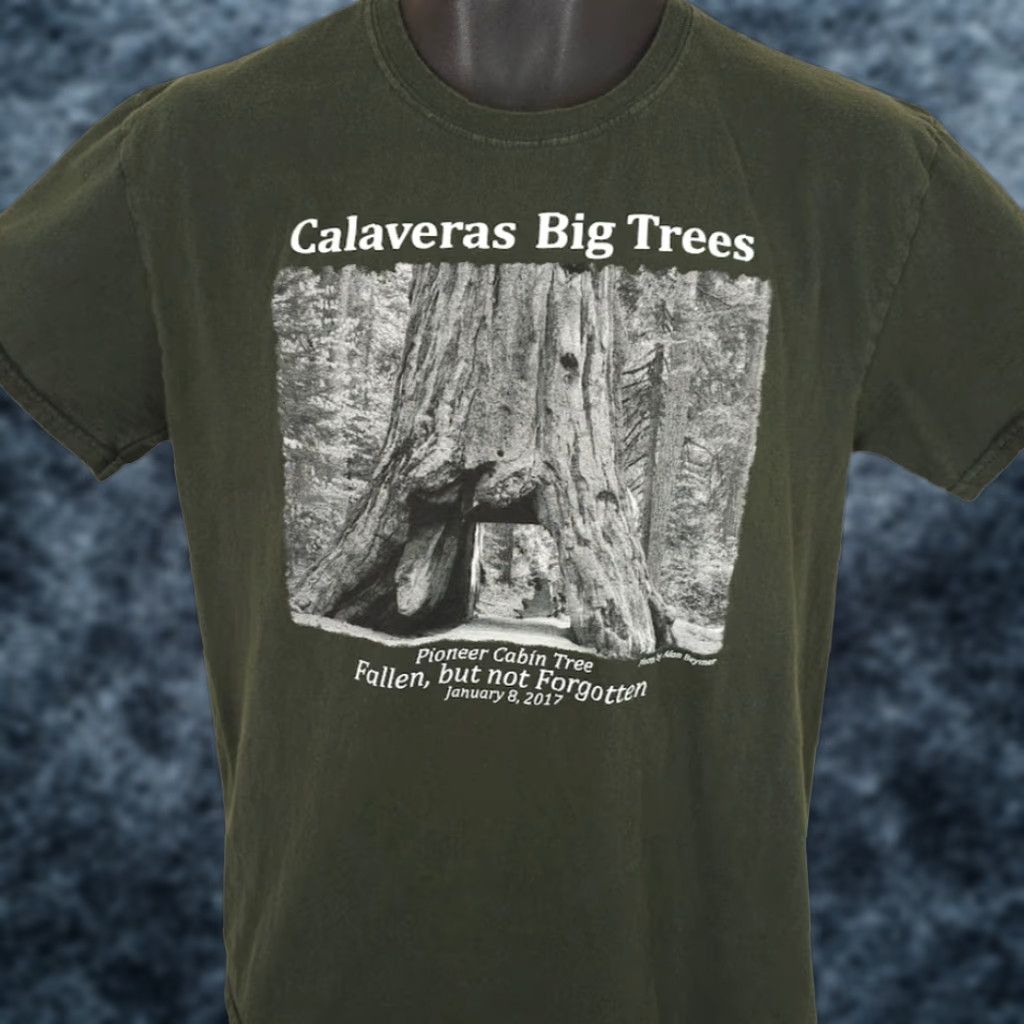 Vintage Calaveras Big Trees T Shirt Mens Size Medium Green State Park Pioneer Cabin Tree | Nature Tee Outdoors Travel Souvenir 2010-2019 Mens Size US M / EU 48-50 / 2 - 1 Thumbnail