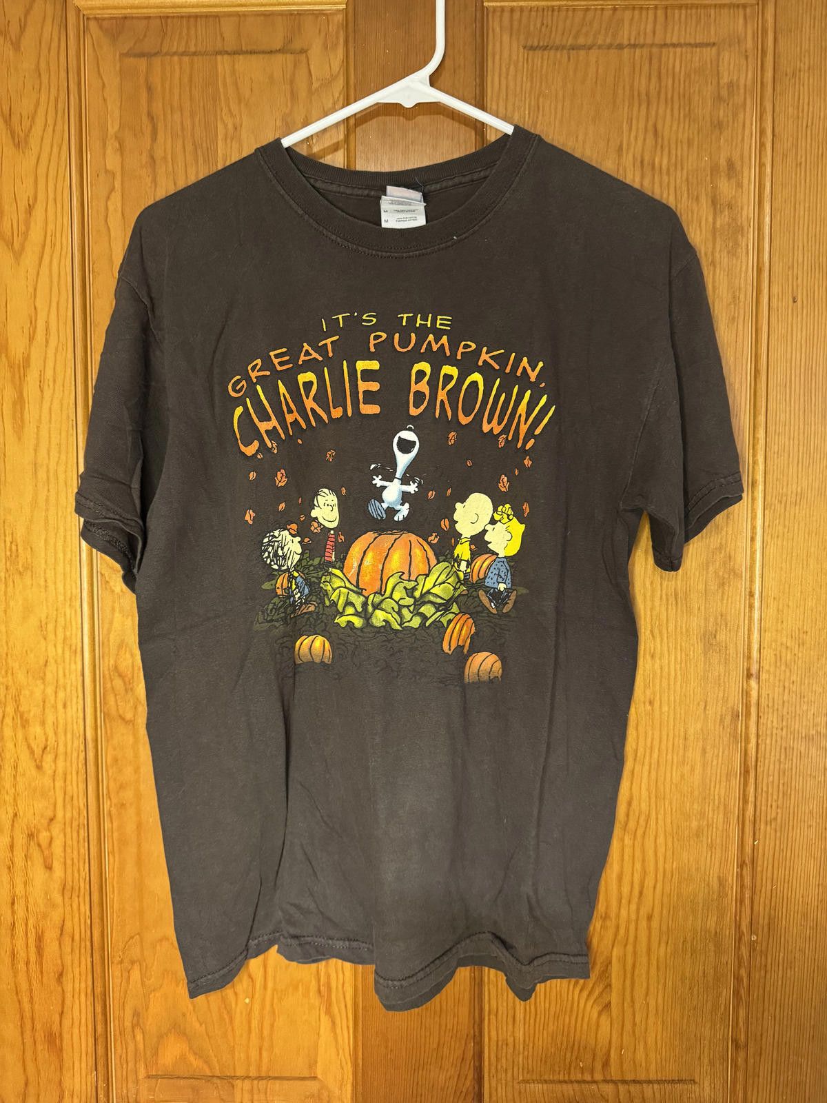 Peanuts Vintage Peanuts Charlie Brown Great Pumpkin T-Shirt Medium Size ONE SIZE - 1 Thumbnail