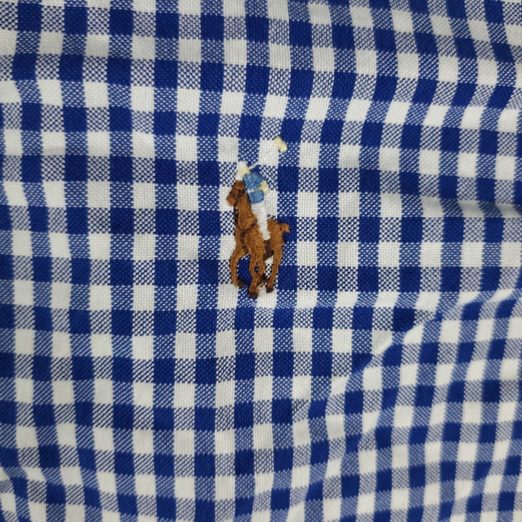 Ralph Lauren Ralph Lauren Shirt Men XL Blue Check Button-Down Long Sleeve Casual Dress Polo Pony Logo Modern Preppy Mens XL Blue Check Button-Up Shirt Size US XL / EU 56 / 4 - 2 Thumbnail