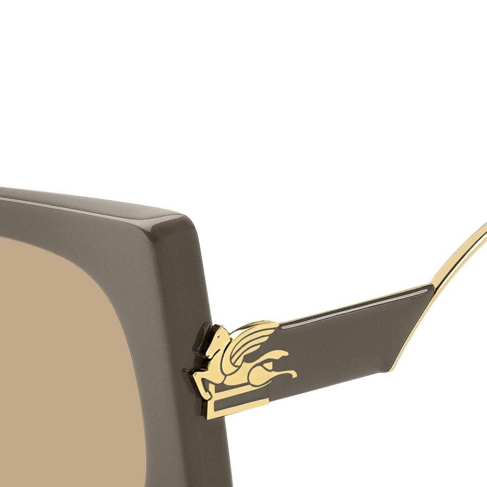 Etro ETRO Sunglasses ETRO0026/S 079U70 Oversized Square Authentic Size ONE SIZE - 4 Thumbnail