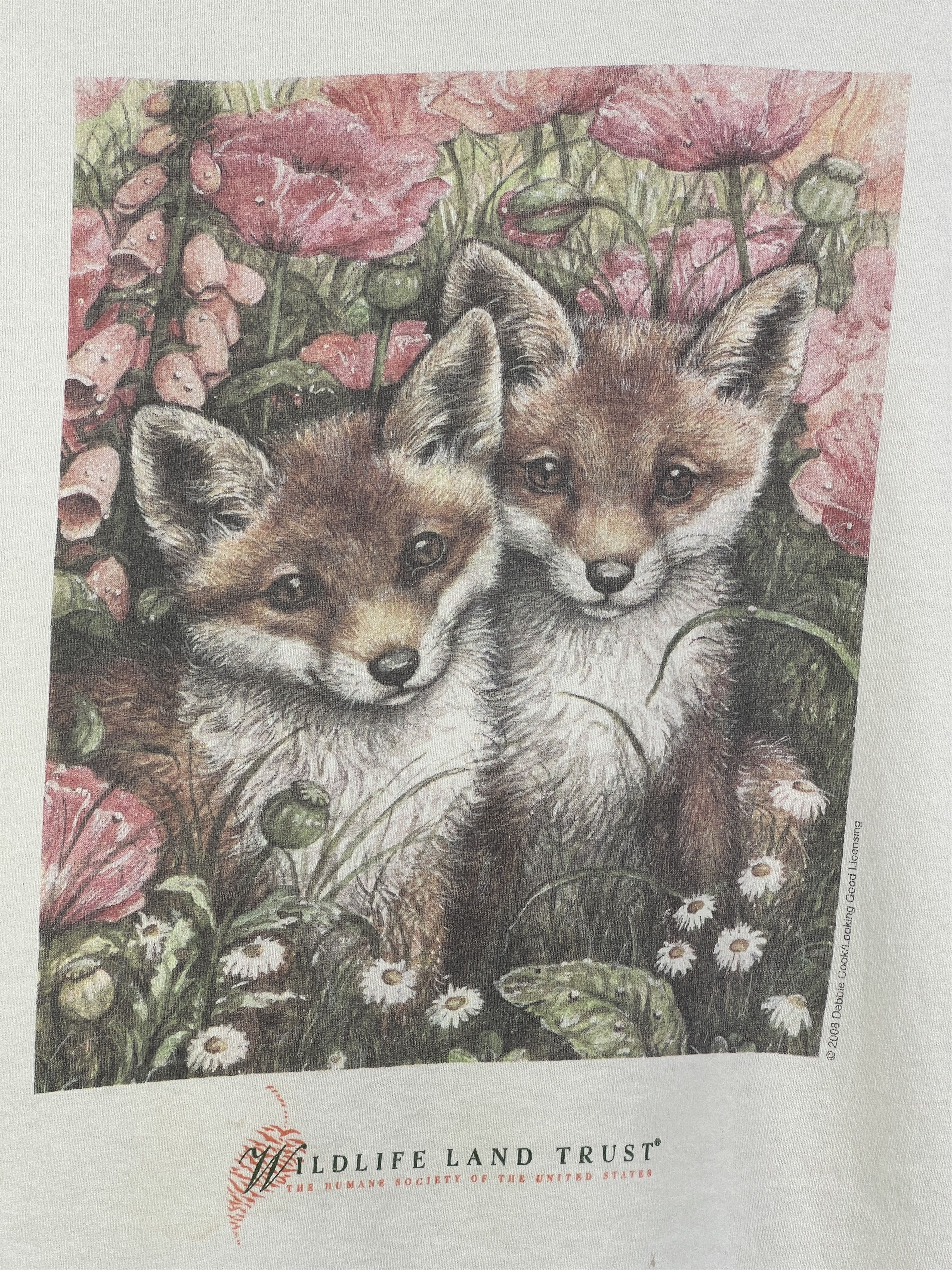 Vintage No.4946 Vintage Wildlife Land Trust Promo Graphic Tee Size US L / EU 52-54 / 3 - 2 Thumbnail