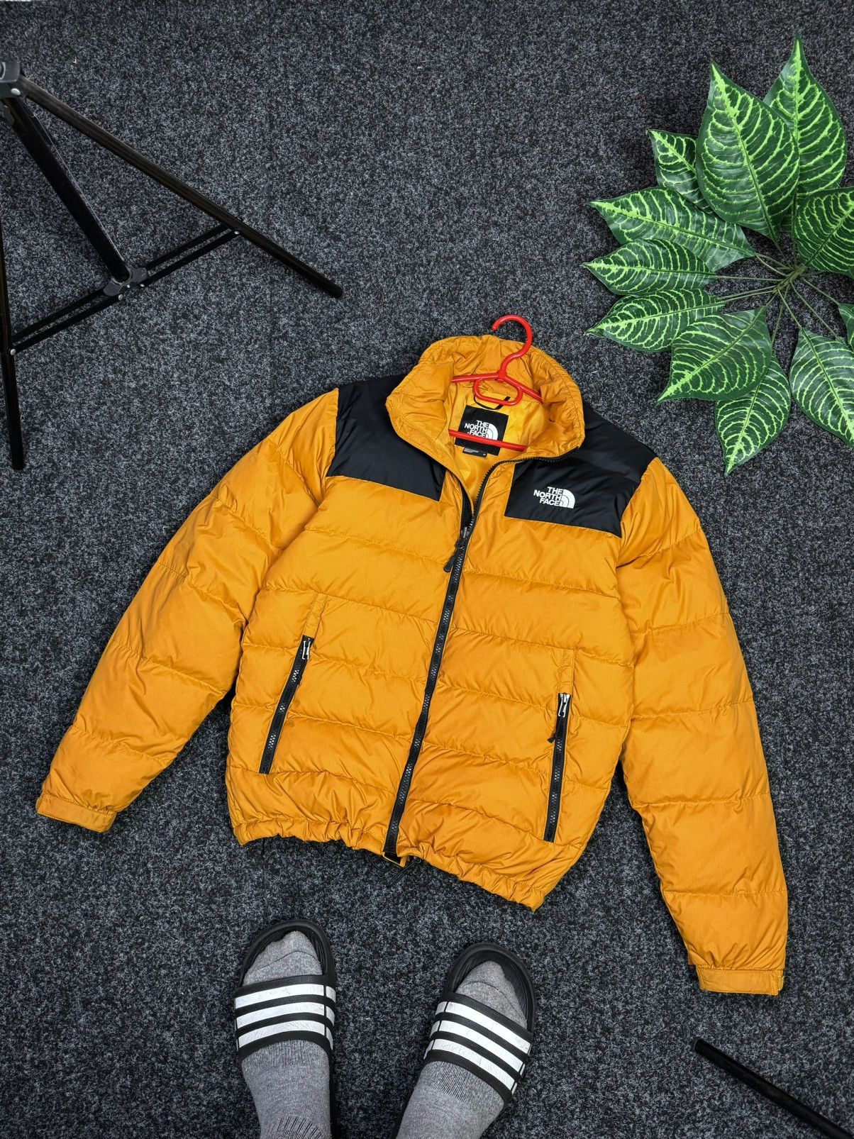 North face nuptse zinnia orange best sale