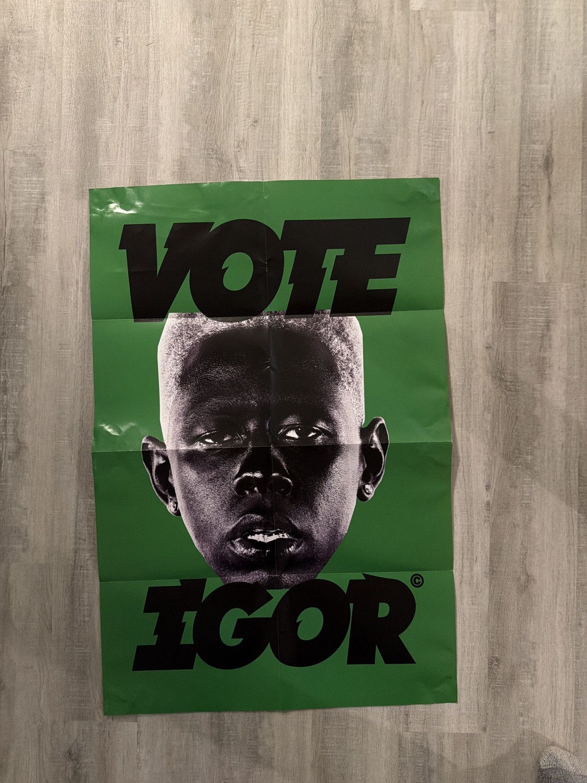 Golf Wang Official Tyler, the Creator “Vote Igor” Poster - Green 24x26 Size ONE SIZE - 1 Preview