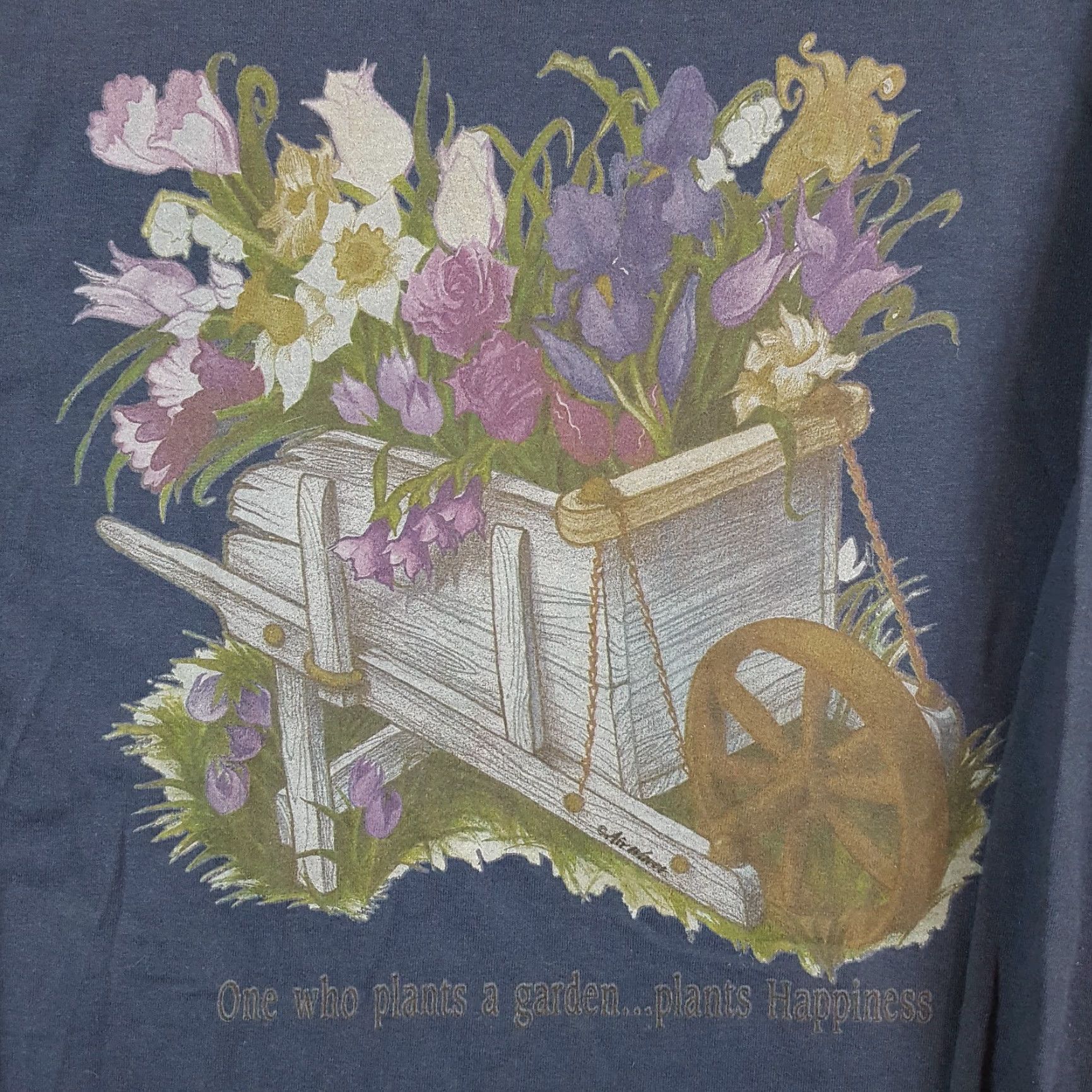 Fruit Of The Loom Vintage Fruit of the Loom Men's 90s Floral Long Sleeve T-Shirt Small Blue Outdoor Garden Retro Y2K Size US S / EU 44-46 / 1 - 3 Thumbnail