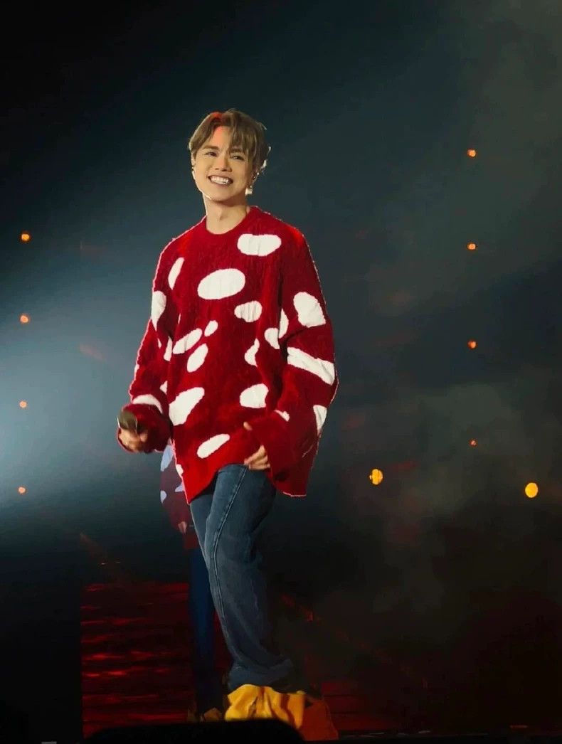 Loewe LOEWE Mushroom sweater Size US XS / EU 42 / 0 - 3 Thumbnail
