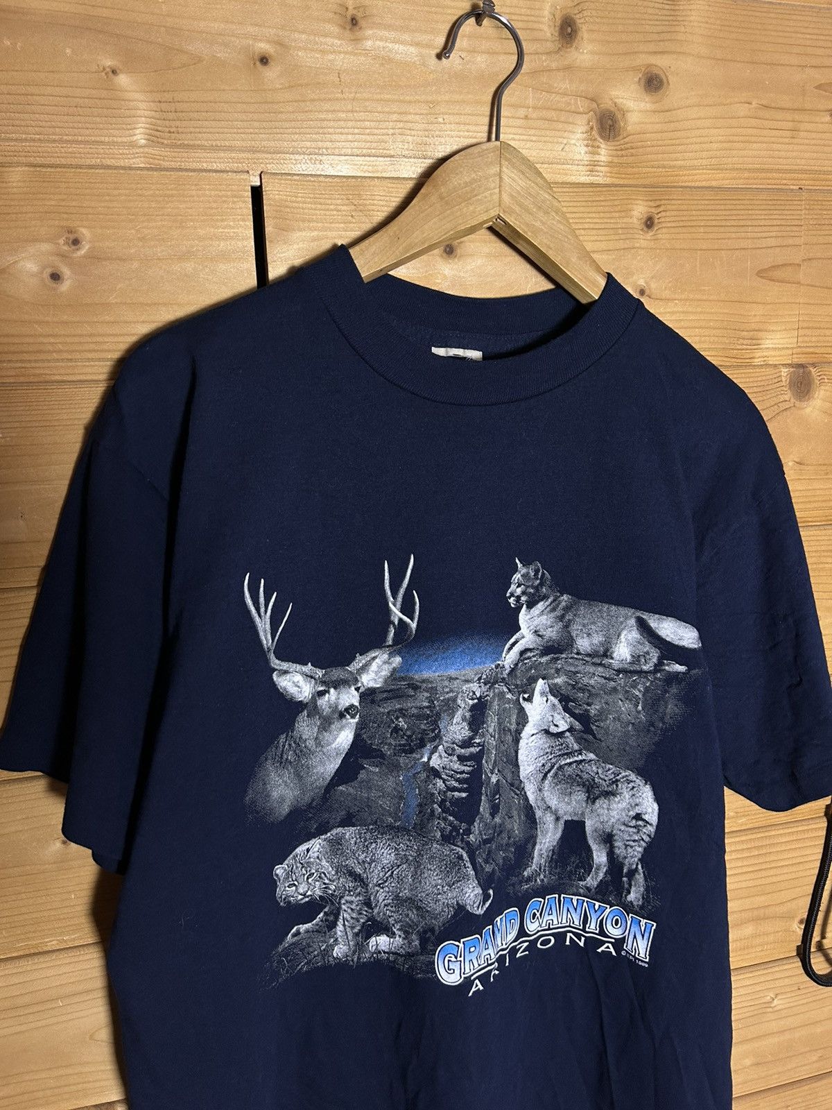 Vintage Vintage 1999 Grand Canyon single stitch t shirt Size US M / EU 48-50 / 2 - 3 Thumbnail