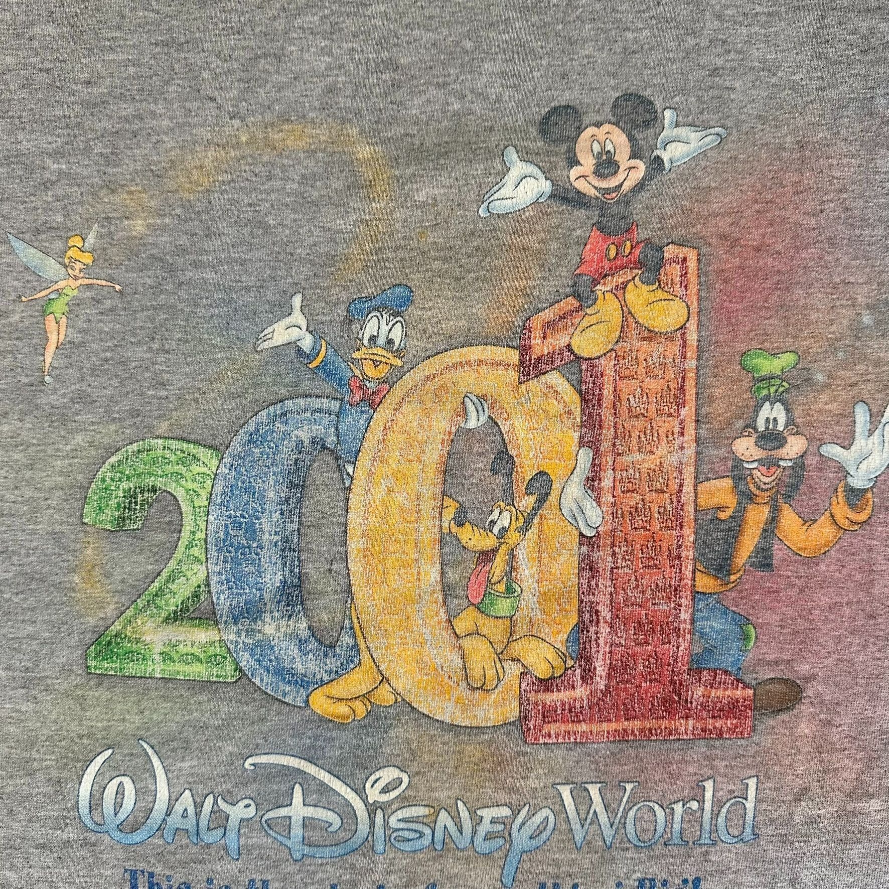 Disney Vintage Y2K Walt Disney World 2001 T-Shirt Mickey Gray L Col Size US L / EU 52-54 / 3 - 3 Thumbnail
