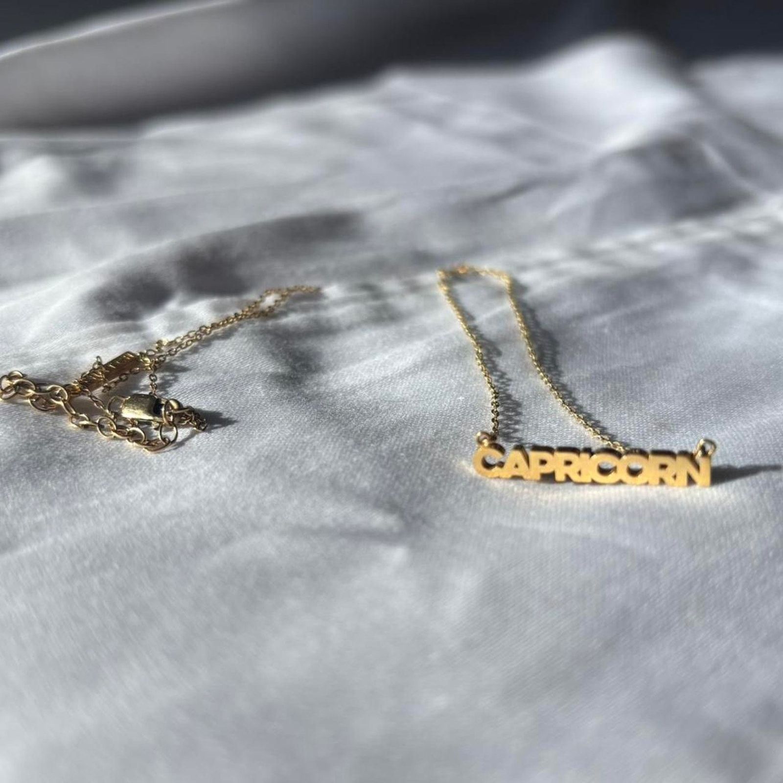 Other Thatch Zodiac Capricorn Necklace 14k Gold Plated Size ONE SIZE - 1 Thumbnail