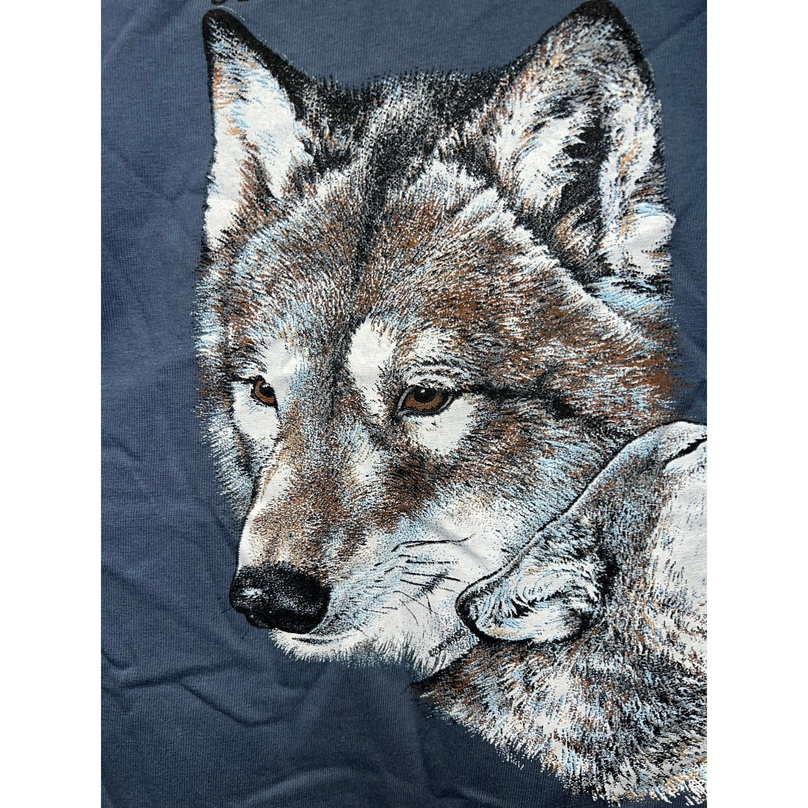 Anvil Vintage Snow Mountain Ranch Shirt Wolf Wolves Tee 90s M Size US M / EU 48-50 / 2 - 3 Thumbnail