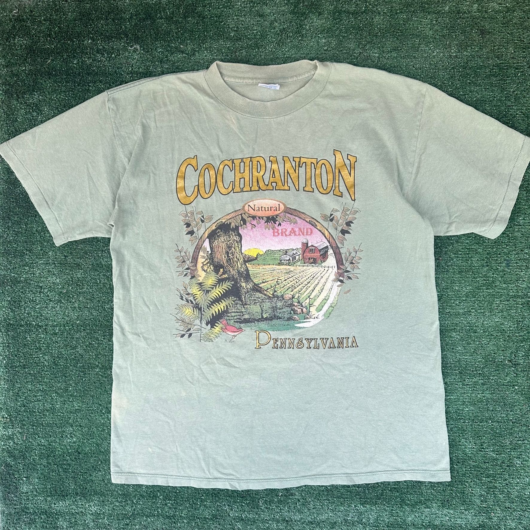 Vintage Vintage 90s Cochranton Pennsylvania Landscape T-Shirt Green Size US L / EU 52-54 / 3 - 1 Thumbnail
