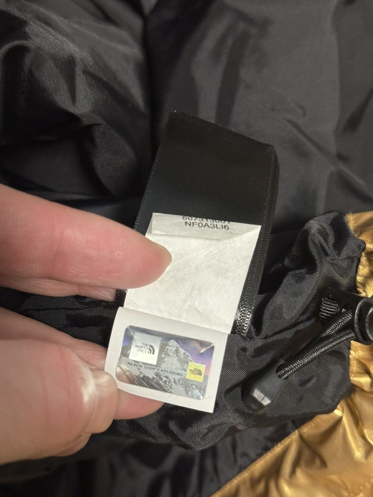 Supreme × The North Face Supreme tnf the north face metallic mountain parka gold rose Size US L / EU 52-54 / 3 - 8 Thumbnail
