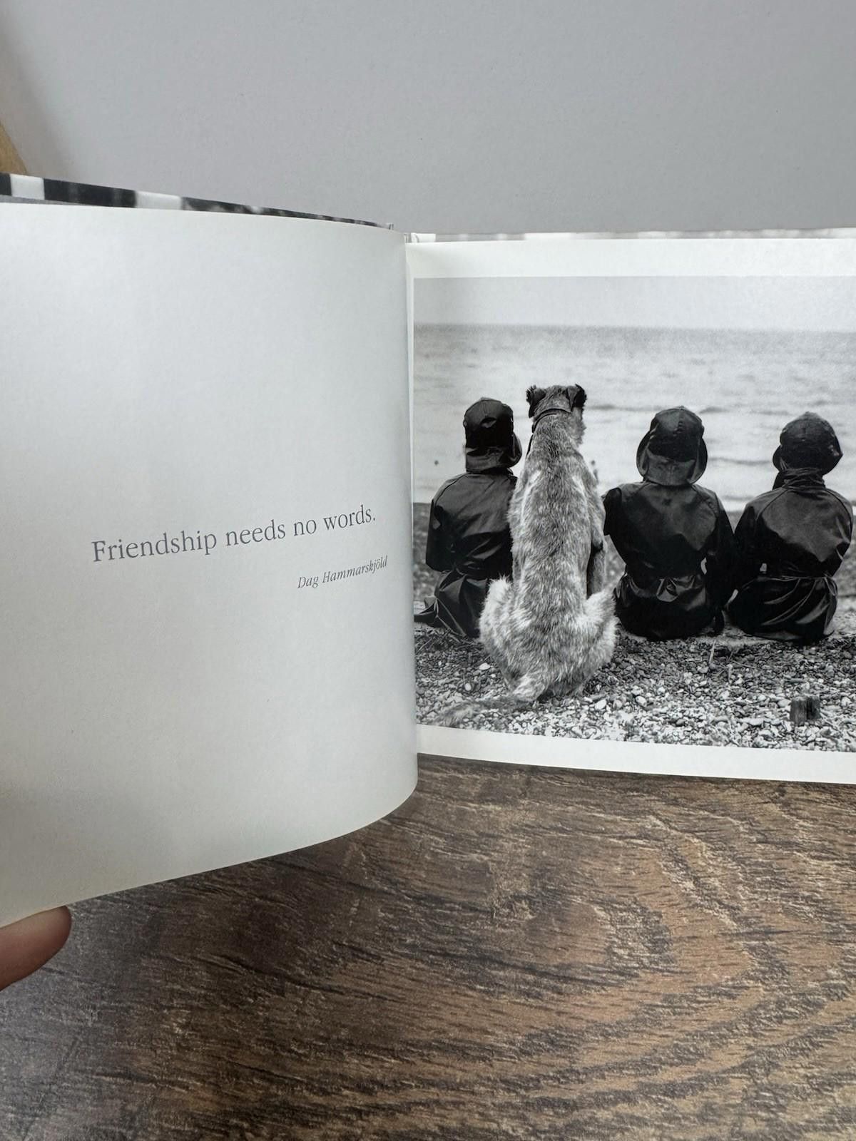 The Unbranded Brand Best Friends Hardcover By Hulton Getty -Great Gift! LIKE NEW Size ONE SIZE - 4 Thumbnail