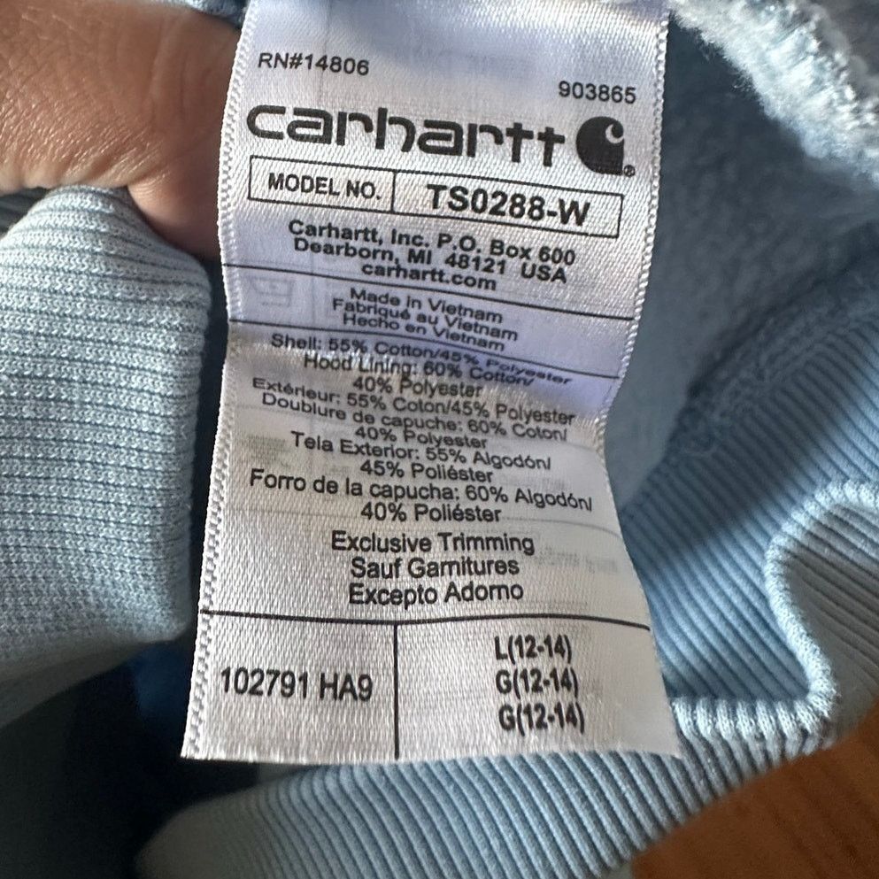 Carhartt Carhartt Light Blue Graphic Hoodie Relaxed Fit | Logo Sleeve Size L / US 10 / IT 46 - 13 Thumbnail