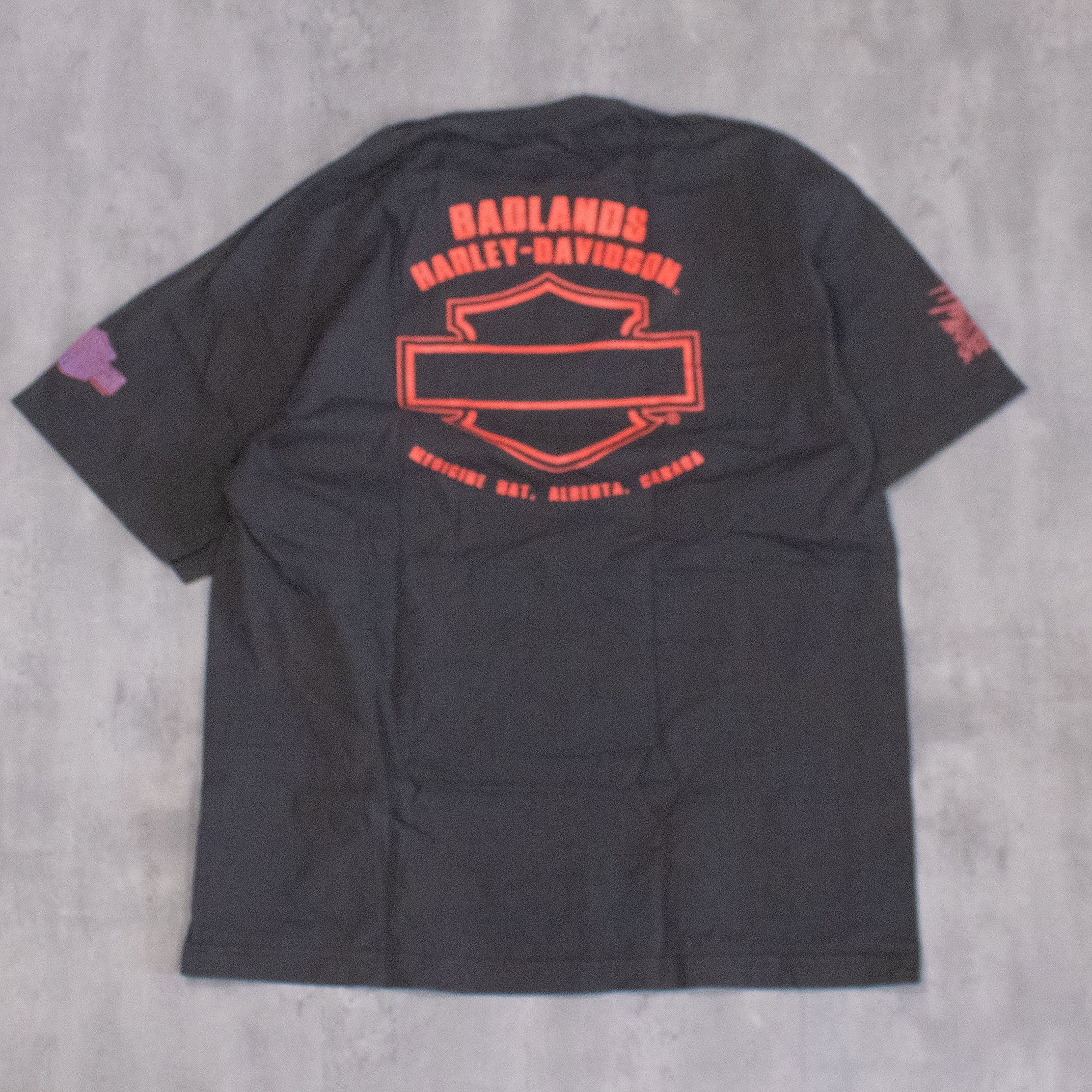 Harley Davidson Y2K 2016 Harley Davidson Badlands Black Double Stitch Tee Size US L / EU 52-54 / 3 - 8 Thumbnail