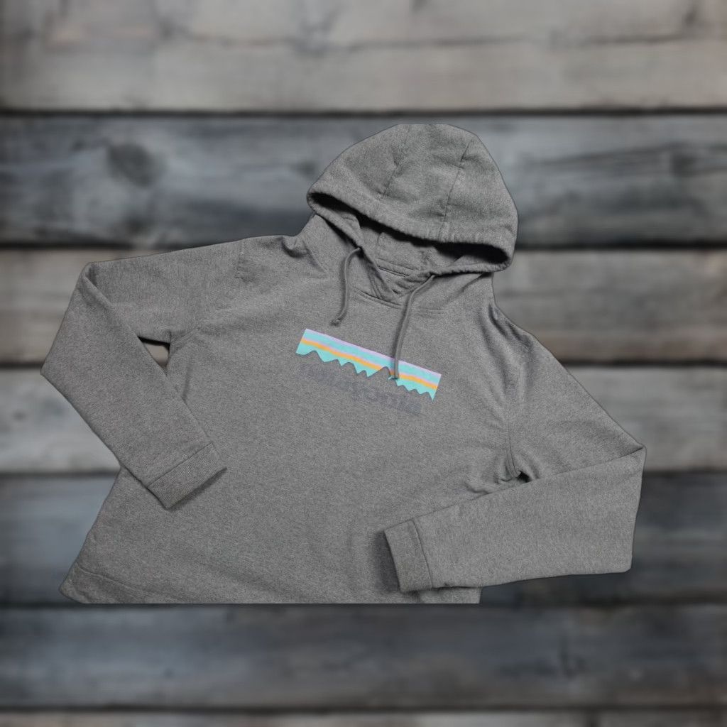Patagonia Patagonia Sweatshirt Womens Medium Gray Logo Hooded Pullover Zip Fleece Size M / US 6-8 / IT 42-44 - 1 Thumbnail