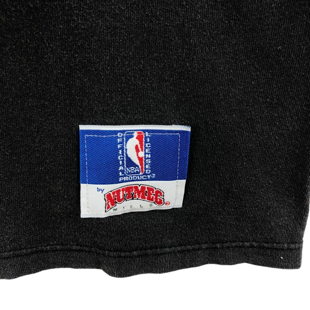 NBA × Nutmeg × Vintage Pick!! Vtg 1994 NBA TORONTO RAPTORS By Nutmeg Top Tee Tshirt Size US L / EU 52-54 / 3 - 11 Thumbnail