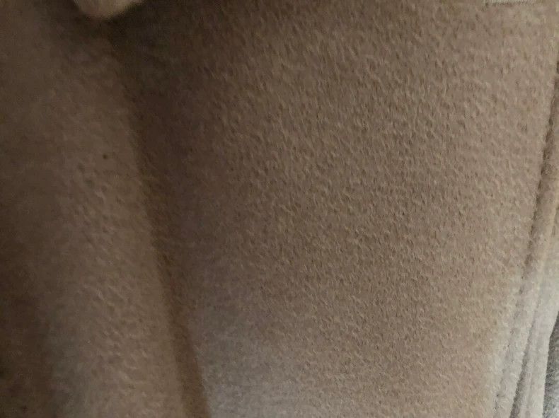 Max Mara Max Mara Coats Size XL / US 12-14 / IT 48-50 - 2 Thumbnail