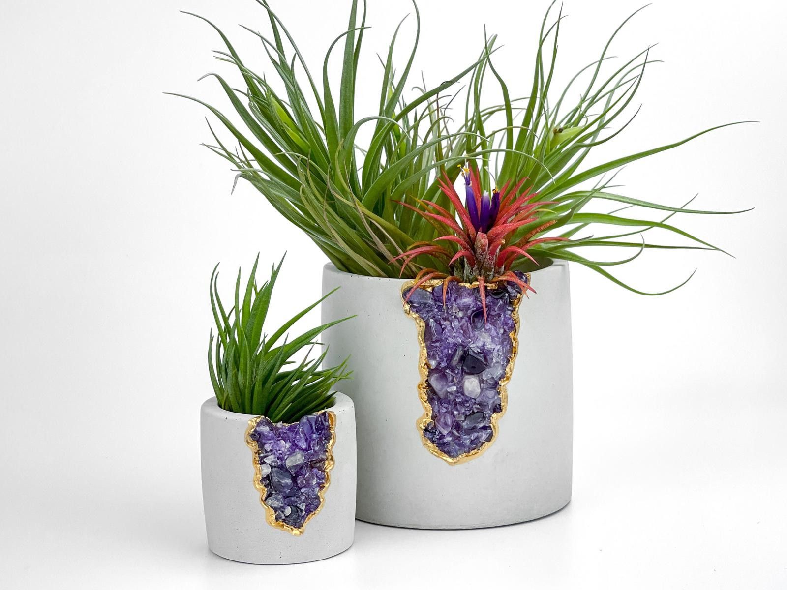 Other Large Geode Planter, AMETHYST Succulent 5 inch Concrete POT Size ONE SIZE - 7 Thumbnail