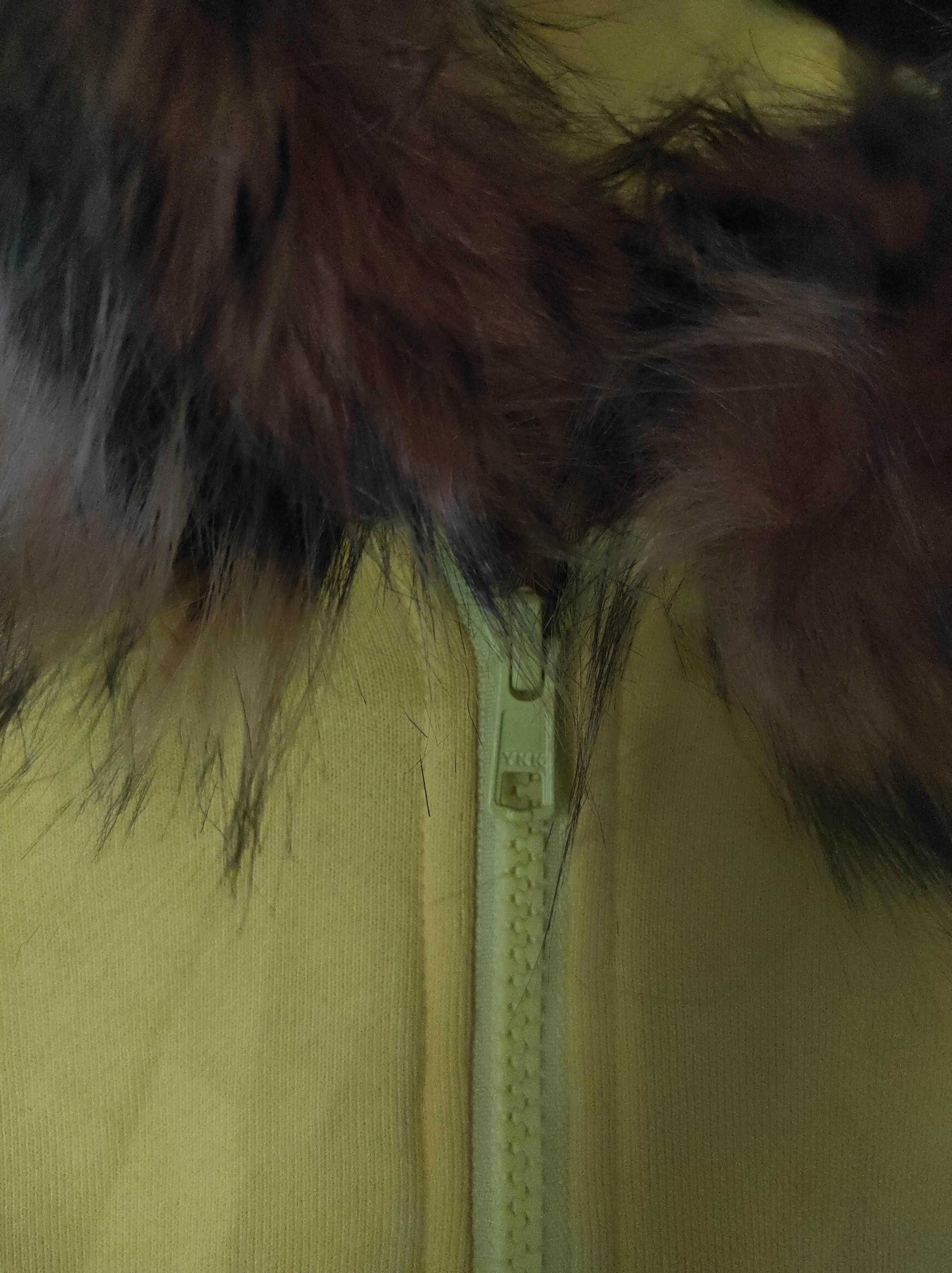 Pokemon Pokemon Zip Fur Hoodie i6w9 LGB style Size US M / EU 48-50 / 2 - 7 Thumbnail