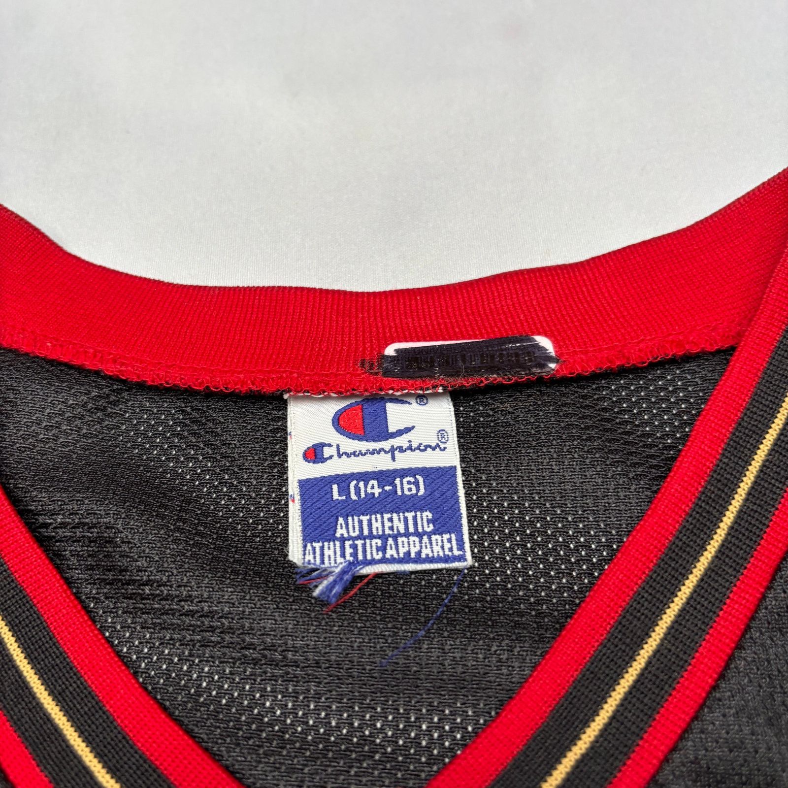 Champion VTG Champion Allen Iverson Philadelphia Sixers NBA Jersey Size US S / EU 44-46 / 1 - 6 Thumbnail