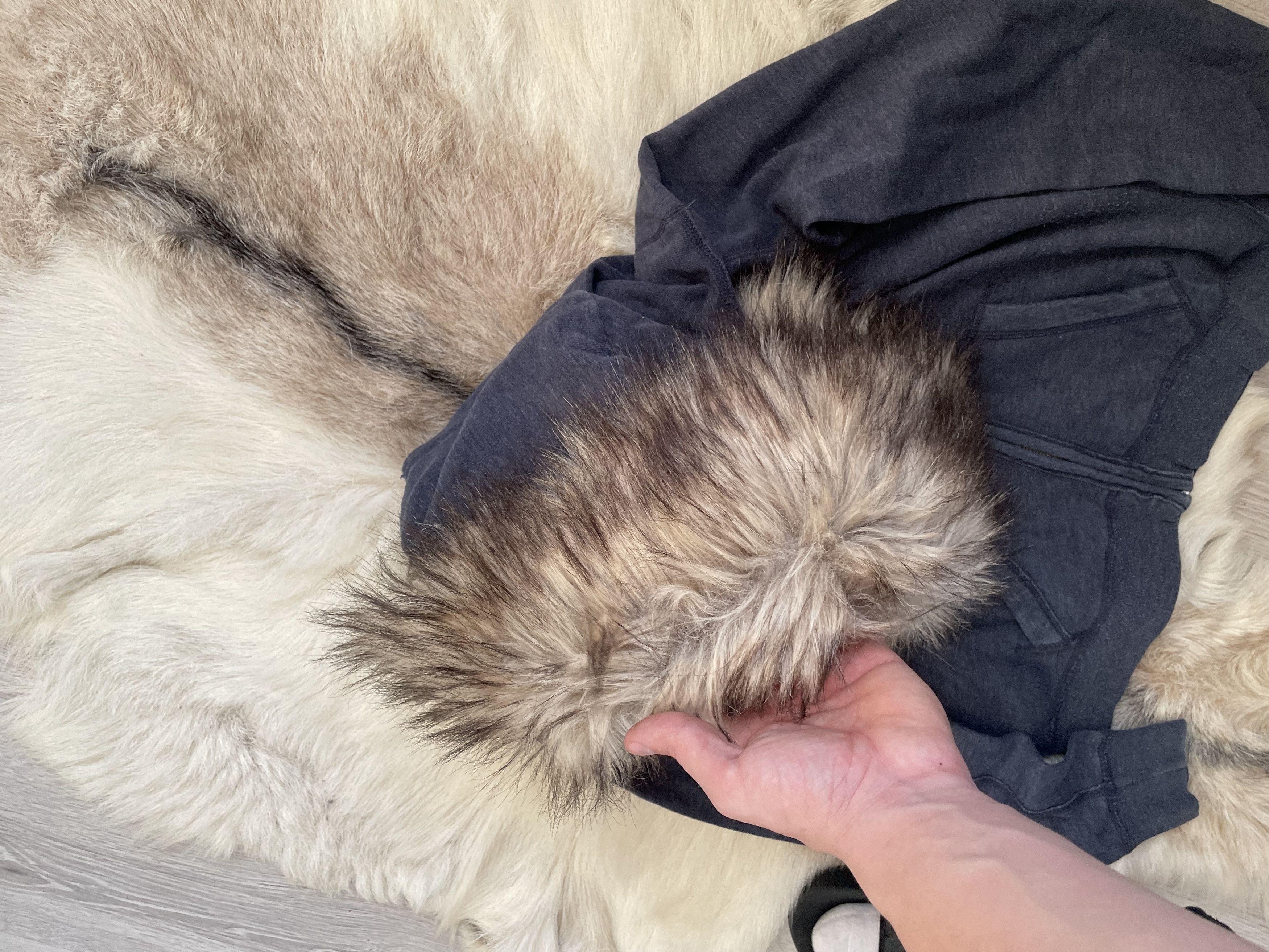 Hollister Y2K Fur Hoodie Hollister Opium Size US S / EU 44-46 / 1 - 5 Thumbnail