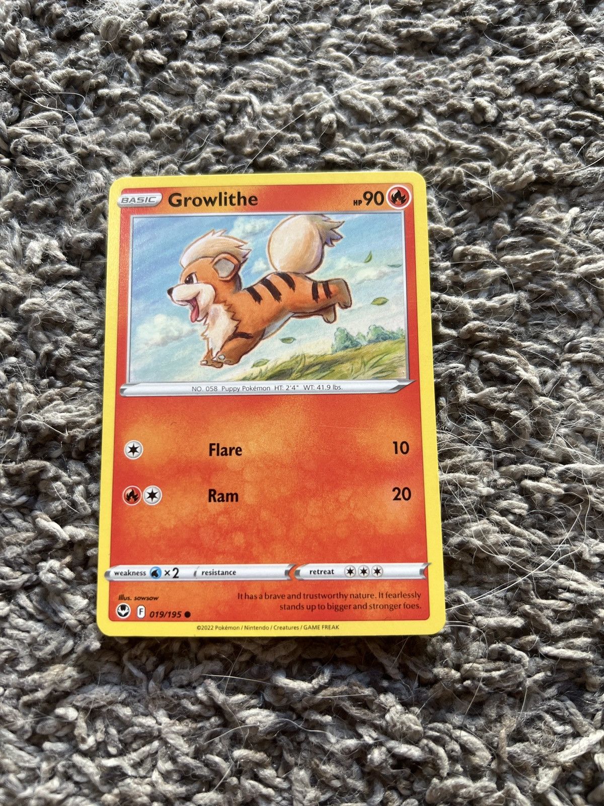 Pokemon 2022 Pokémon Growlithe Basic Card Size ONE SIZE - 1 Thumbnail