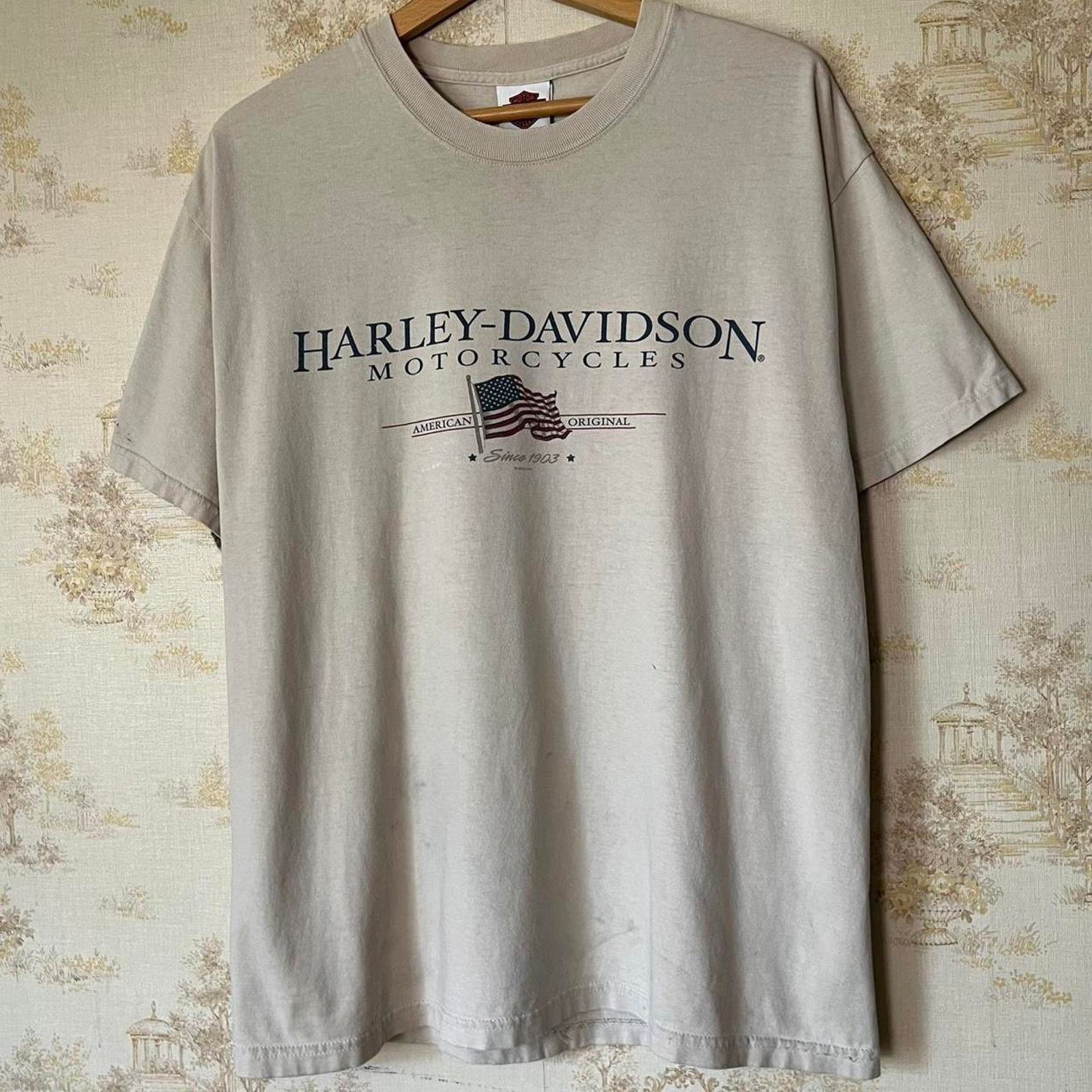 Harley Davidson 00s Distressed Harley Davidson T-Shirt | Rice Lake Wisconsin Size US L / EU 52-54 / 3 - 2 Thumbnail