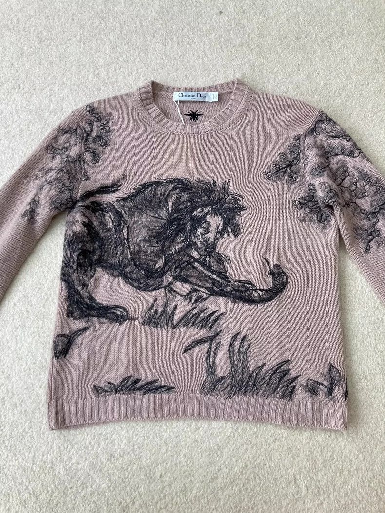 Dior Dior Embroidered cashmere knitted sweater Size XS / US 0-2 / IT 36-38 - 1 Thumbnail