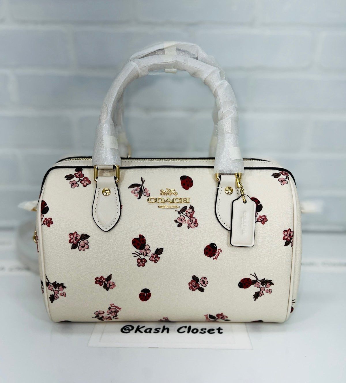 Coach shops ladybug purse