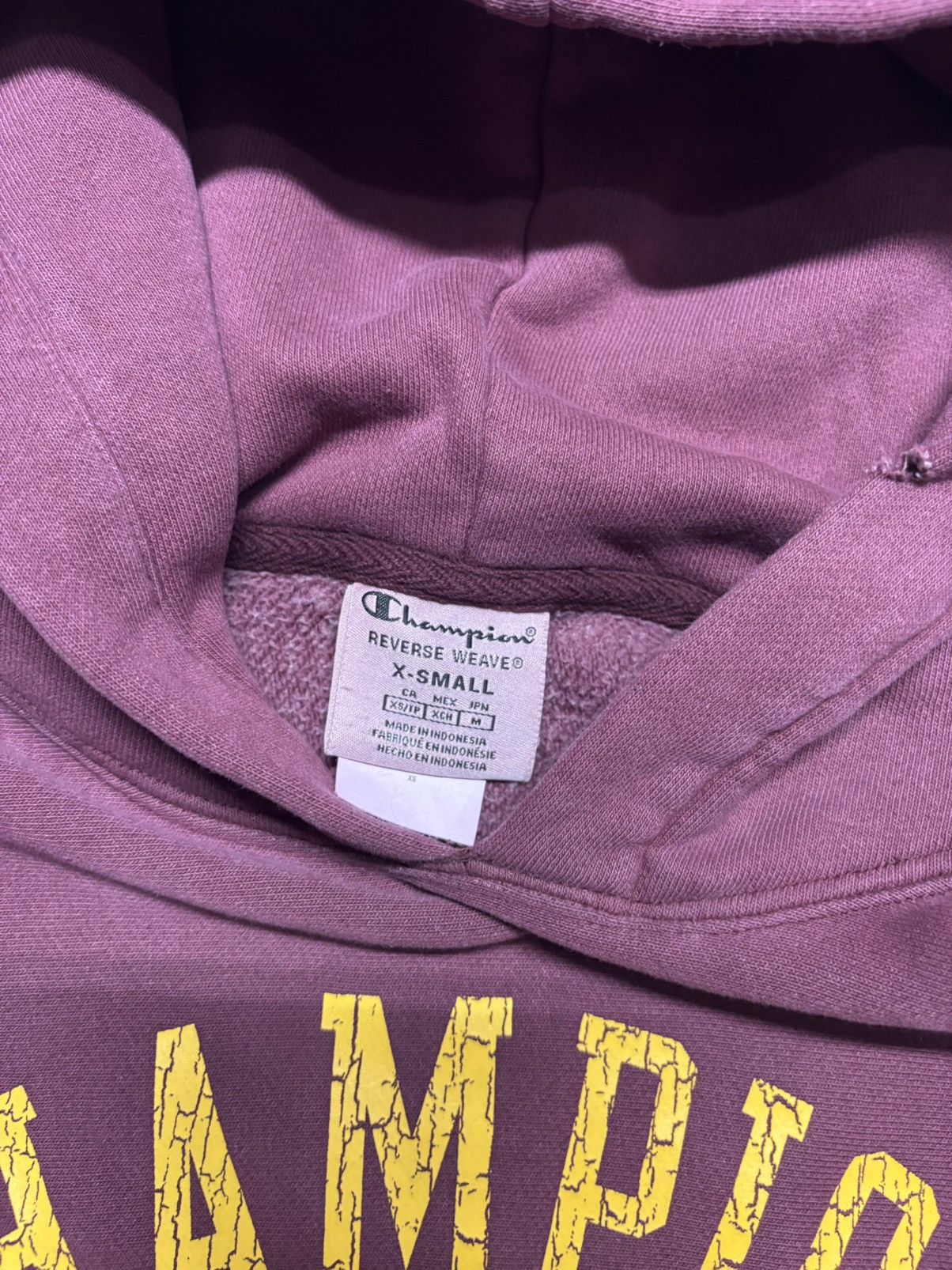 Champion Vintage Champion Hoodie Size US XS / EU 42 / 0 - 5 Thumbnail