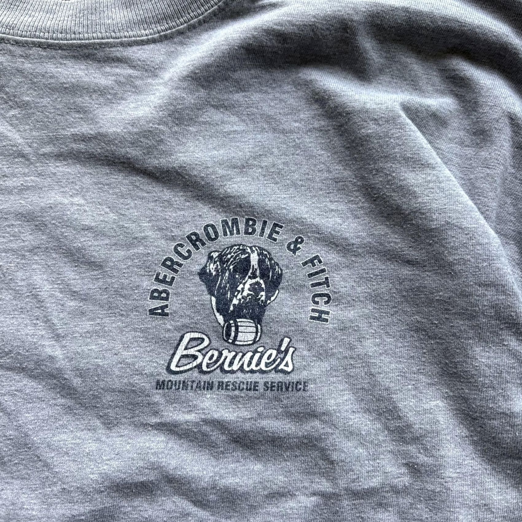 Abercrombie & Fitch VINTAGE Abercrombie & Fitch Long Sleeve Shirt Mens XL Gray Bernie's Dog Graphic T-Shirt Size US XL / EU 56 / 4 - 4 Thumbnail