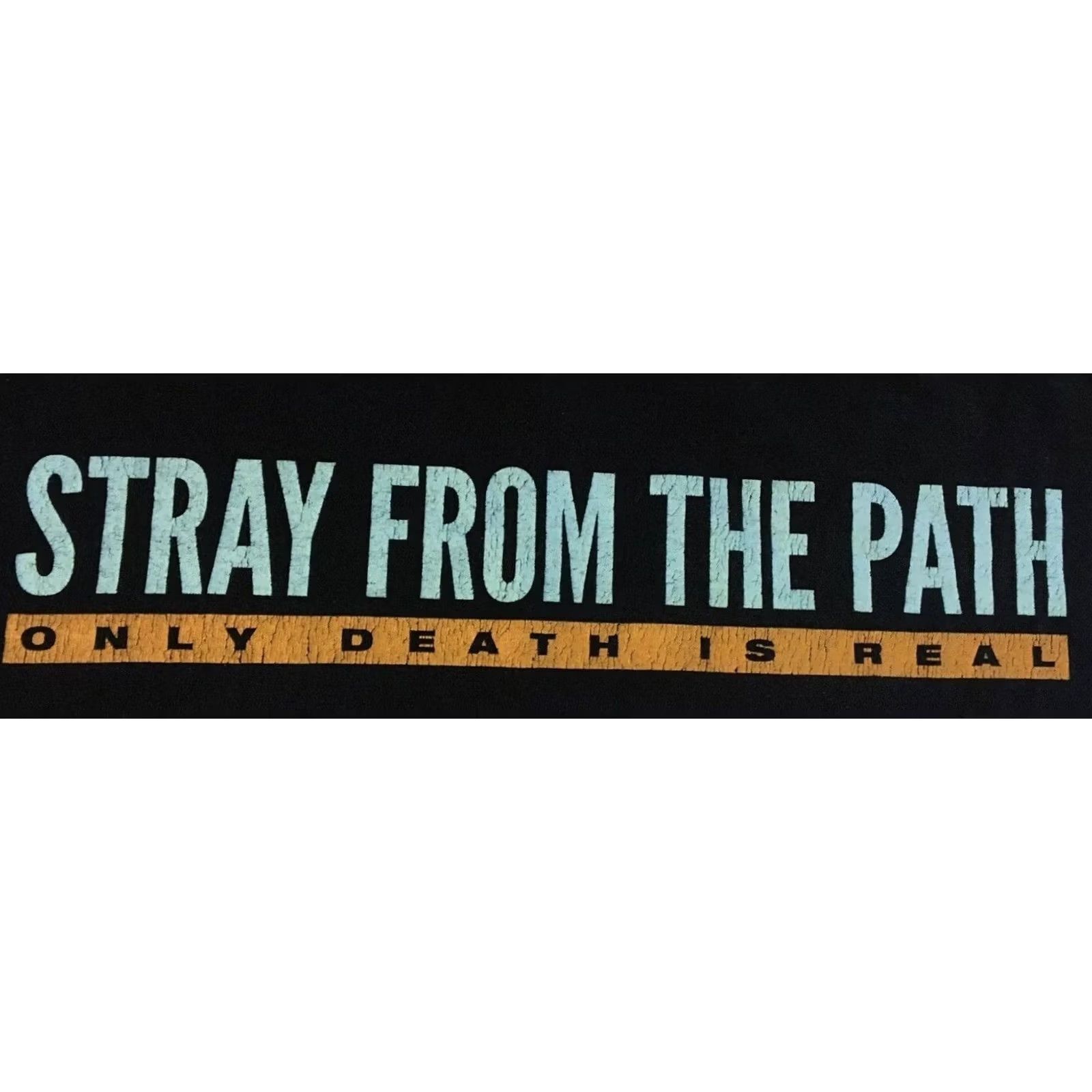 STRAYE Stray From The Path Faded Album Shirt S Hardcore Punk Grunge Rock Vtg Y2k XL Black | Only Death is Real | T-Shirt | Men Size US XL / EU 56 / 4 - 4 Thumbnail