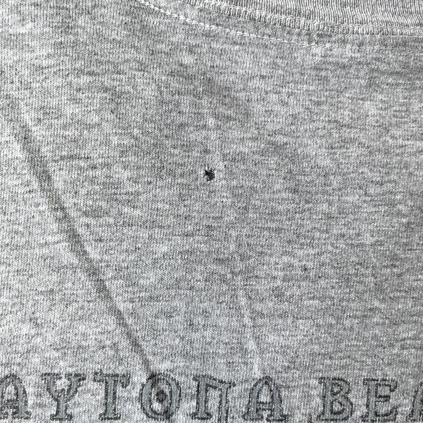 Hanes VINTAGE Daytona Beach Bike Week Shirt Mens Large Gray 2005 Motorcycle Event Flame Tee Size US L / EU 52-54 / 3 - 7 Thumbnail