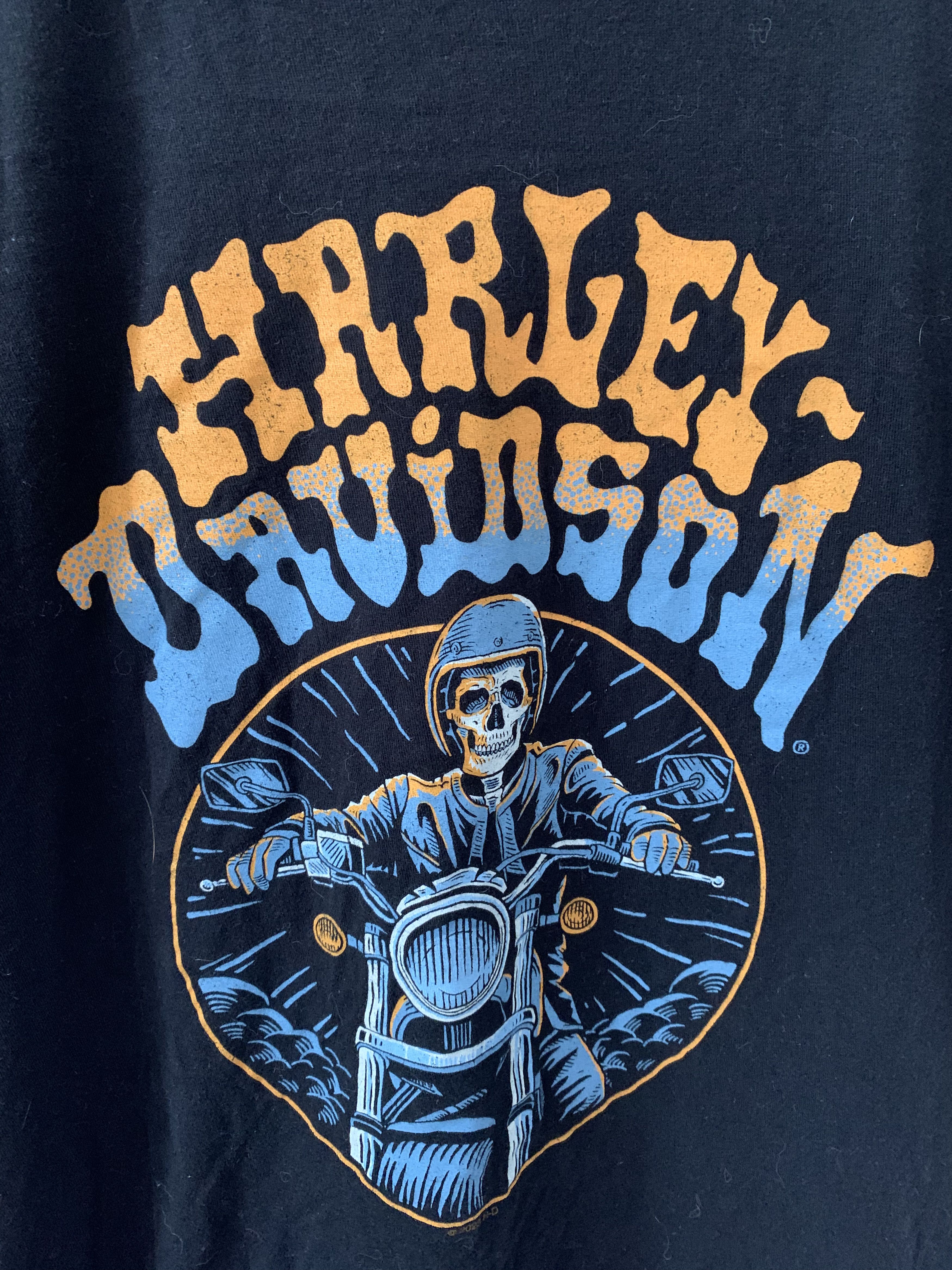 Harley Davidson Harley Davidson Night Rider skull graphic t shirt Avalanche Size US L / EU 52-54 / 3 - 2 Thumbnail