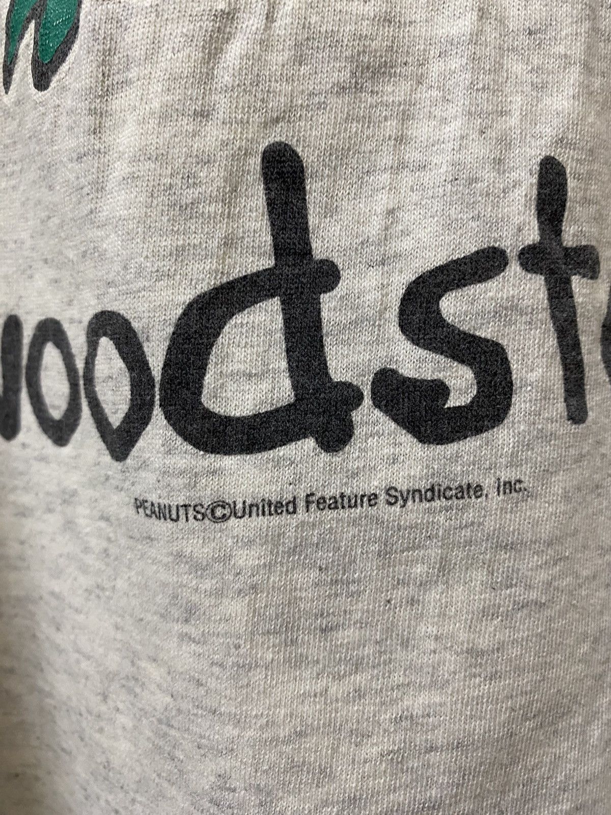 Vintage Peanuts Wood Stock Crewneck Tee Size US L / EU 52-54 / 3 - 5 Thumbnail