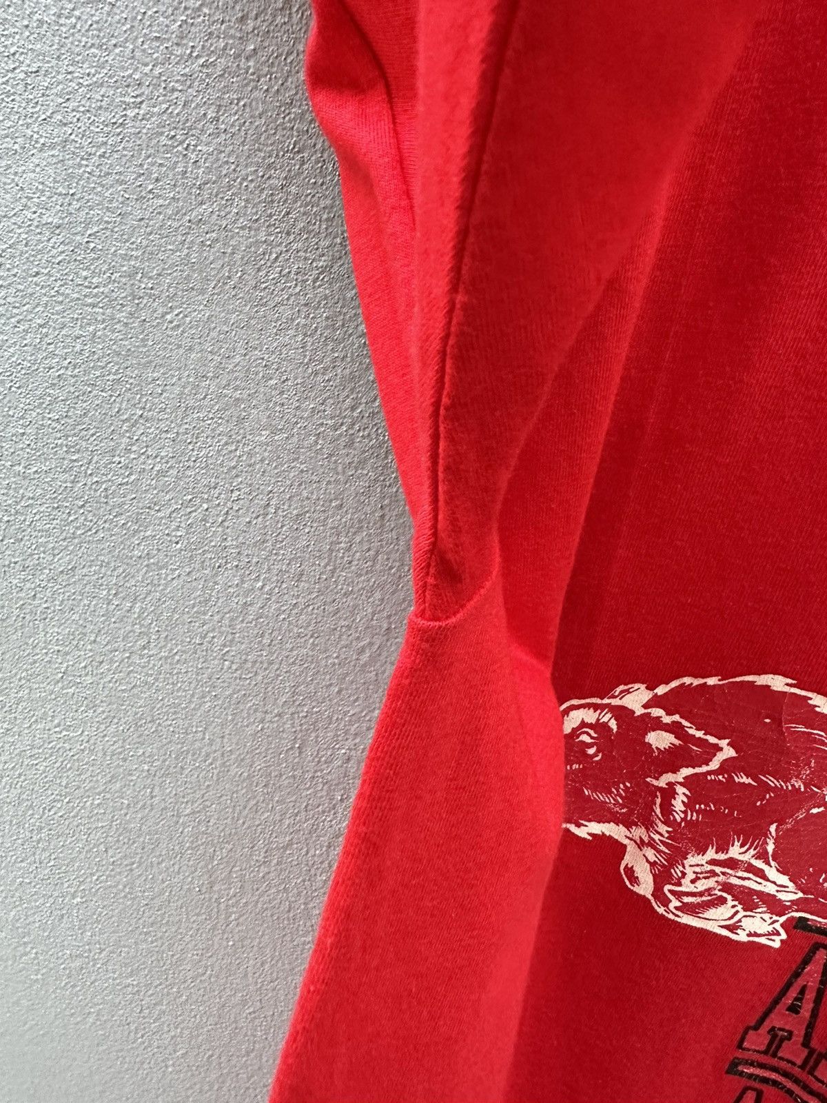 Champion Vintage 90s NOS Champion Arkansas Usa Tshirt A165 Size US M / EU 48-50 / 2 - 6 Thumbnail