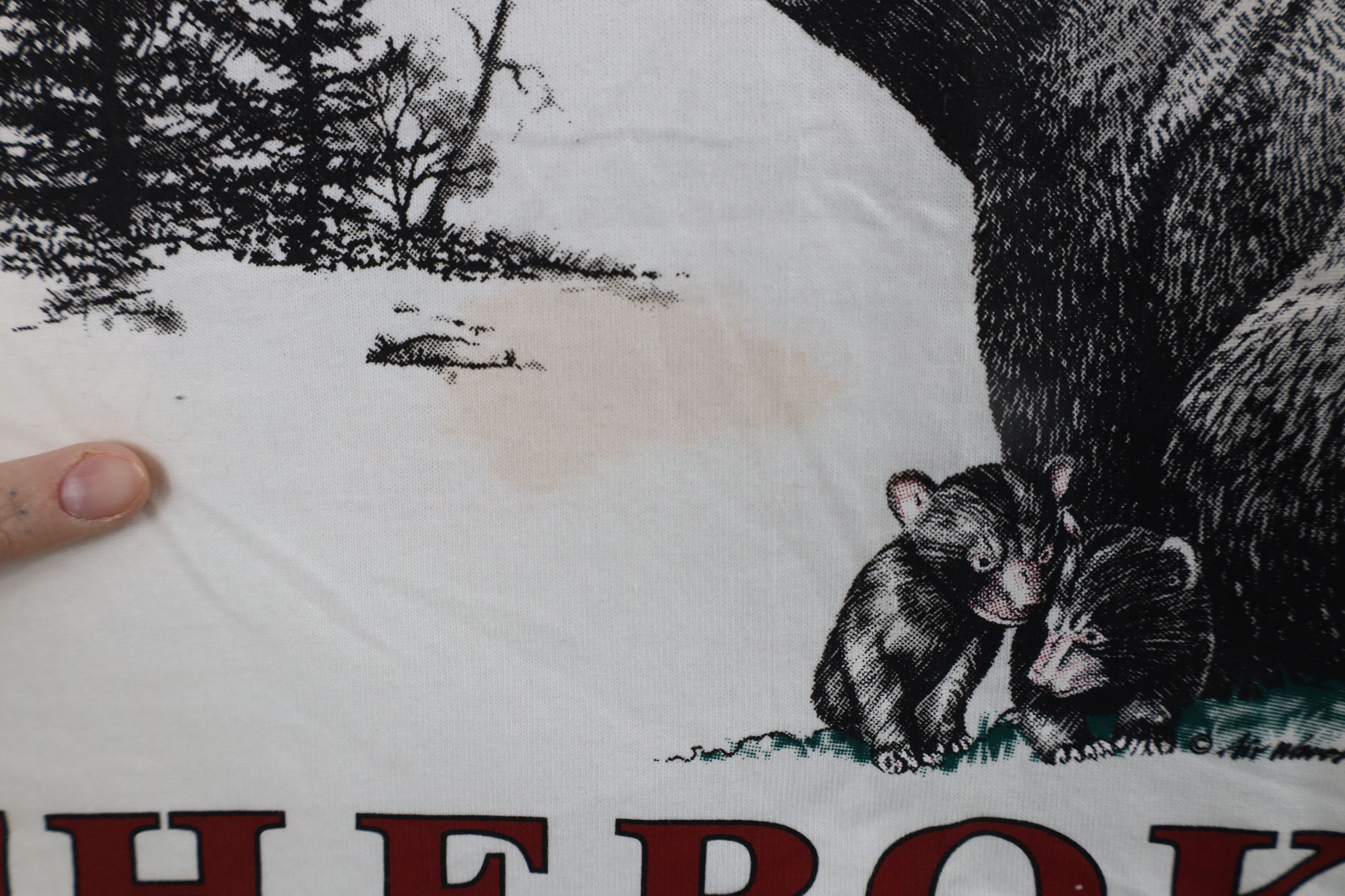 Vintage Vintage 90s Streetwear Cherokee North Carolina Bear T-Shirt Size US XXL / EU 58 / 5 - 5 Thumbnail