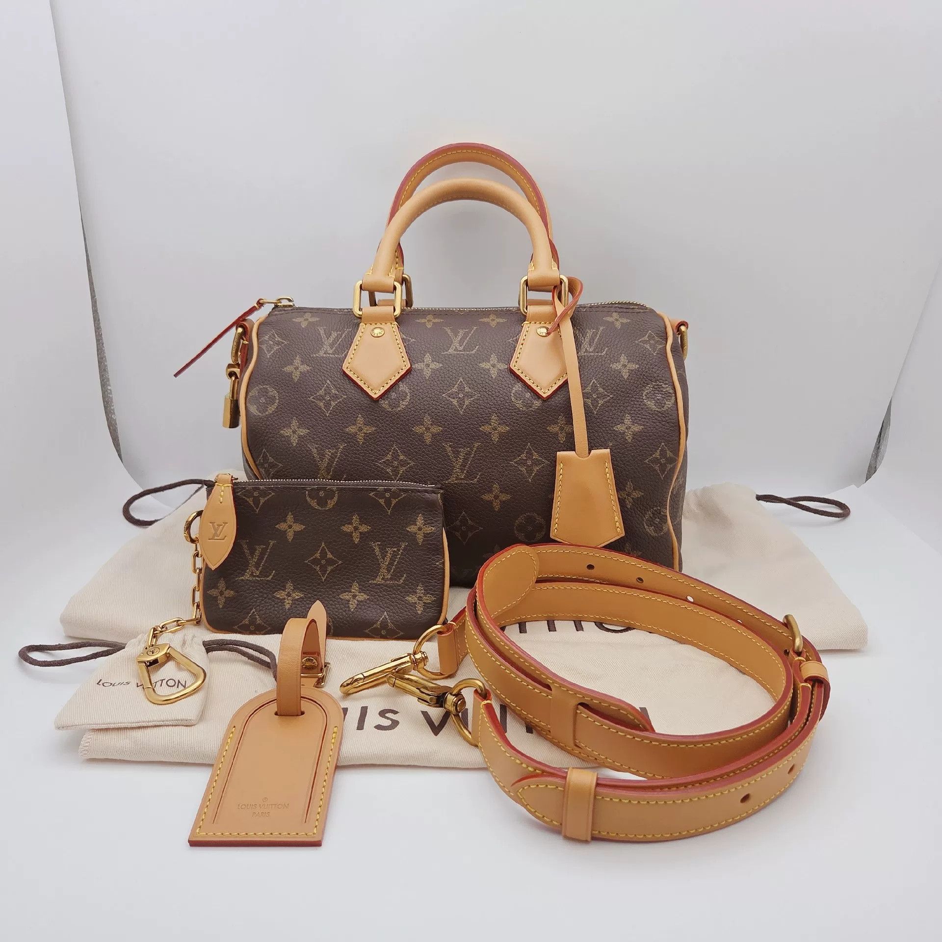 Louis Vuitton Pre-loved Bag Very good condition Size ONE SIZE - 1 Thumbnail